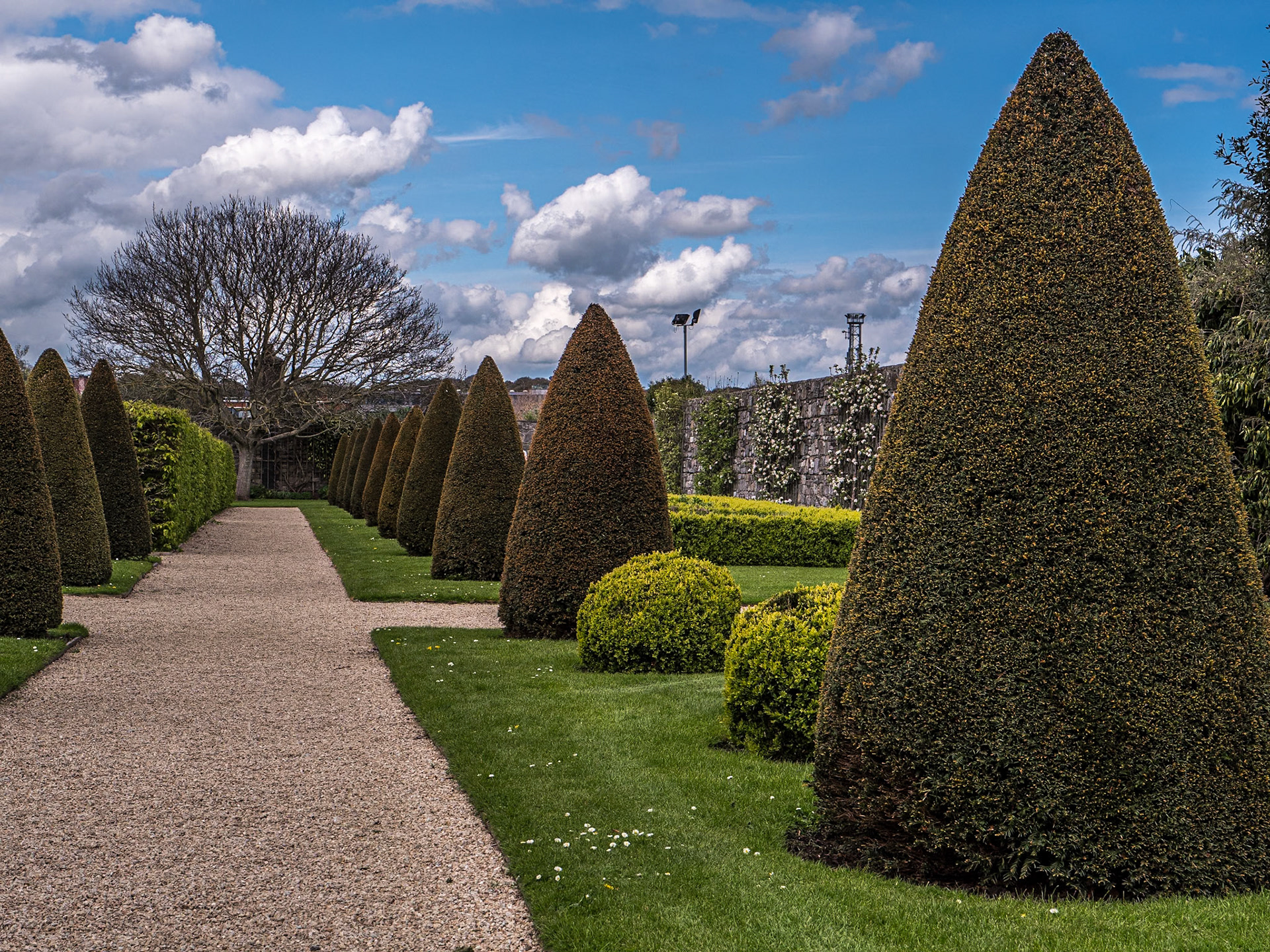 The Gardens at the RHK, Dublin, 25 Apr 2023
