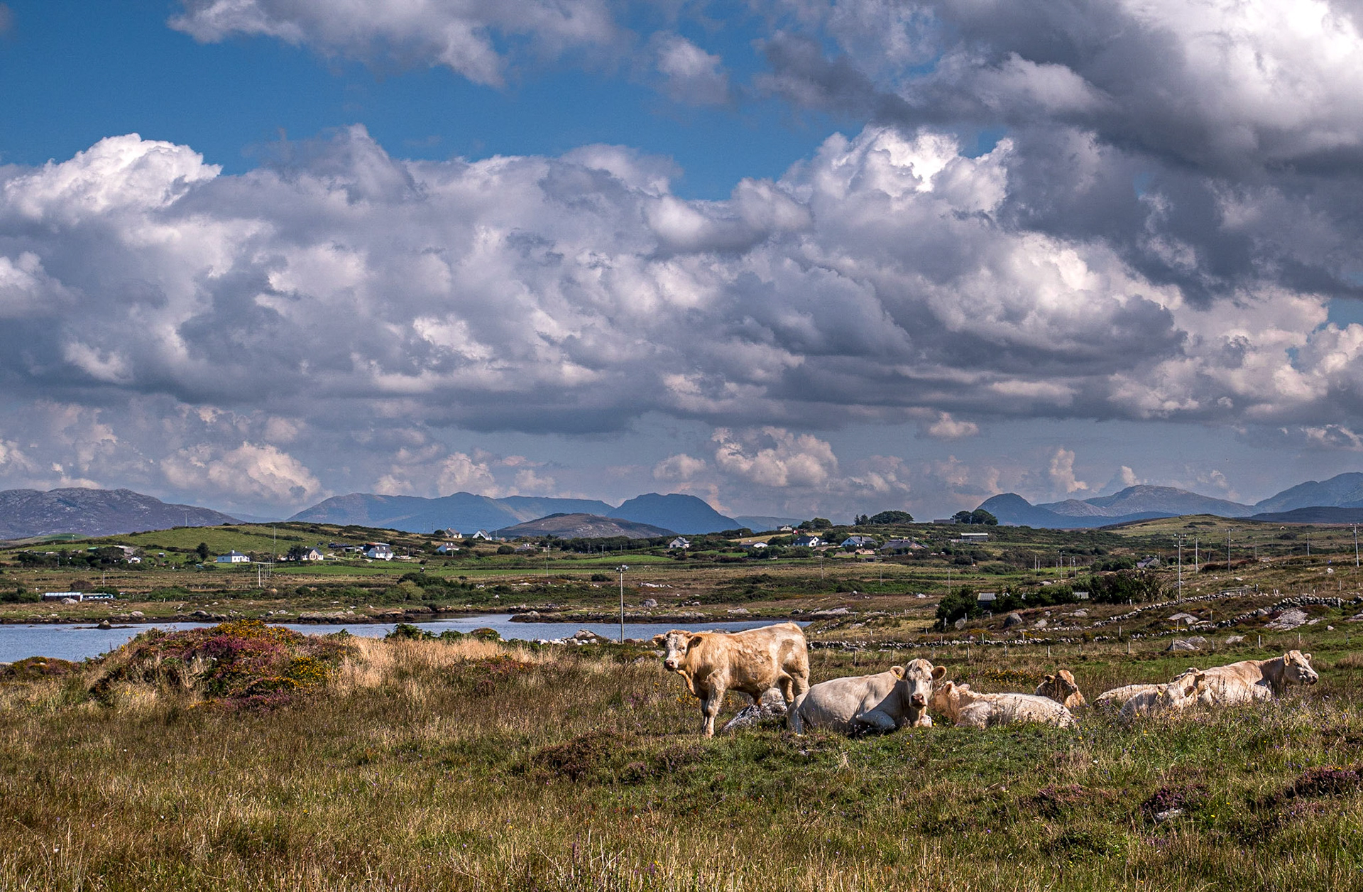 Aughrus Peninsula, Connemara, 1 Sep 2022