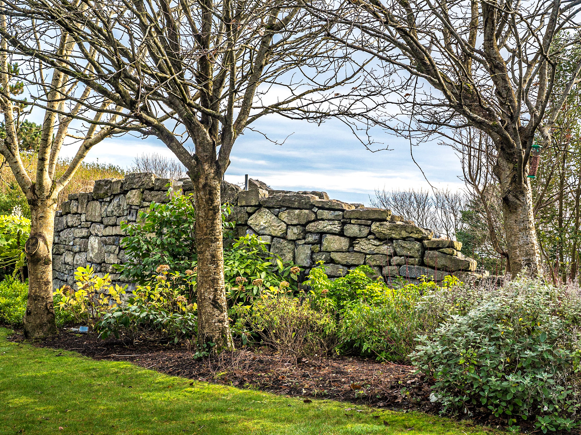 Circle of Life Commemorative Garden, Salthill, Galway, 12 Dec 2018