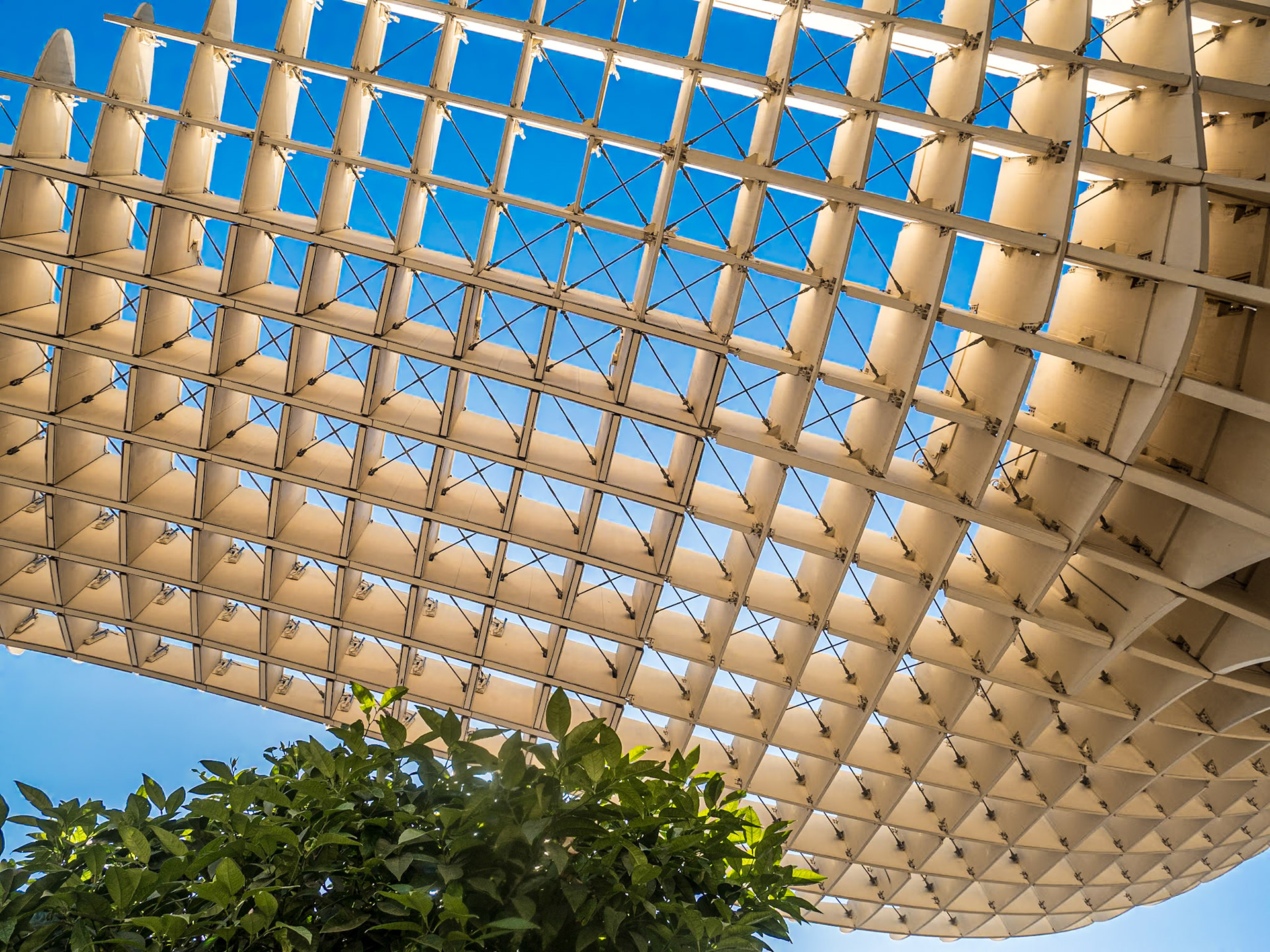 Setas de Sevilla, 25 Apr 2022