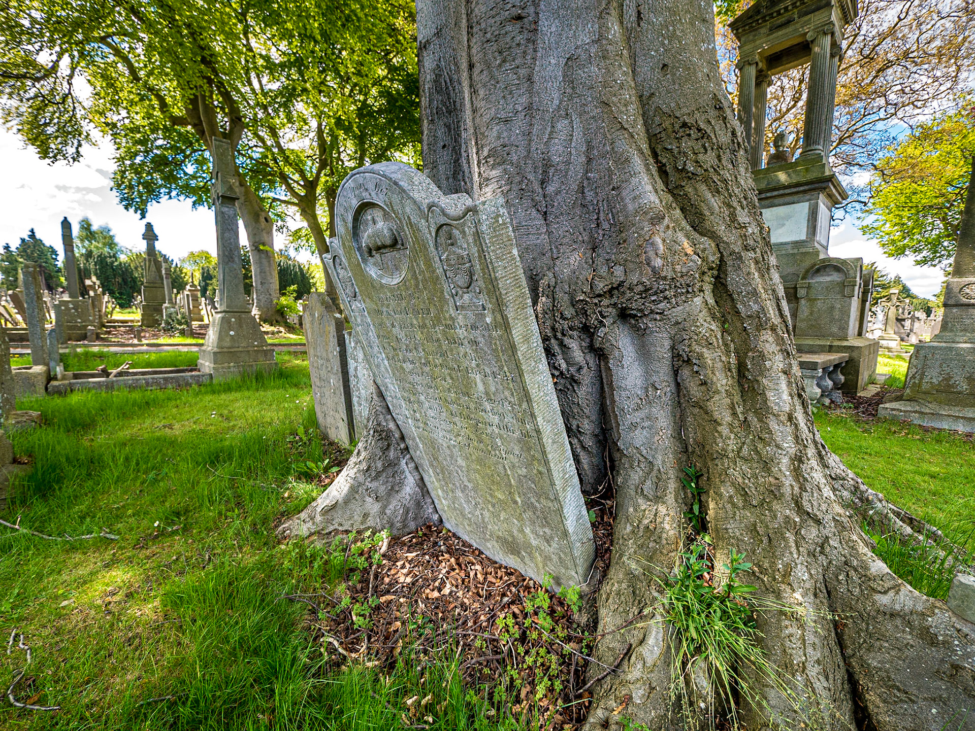 Glasnevin Cemetery, Dublin, 13 May 2018