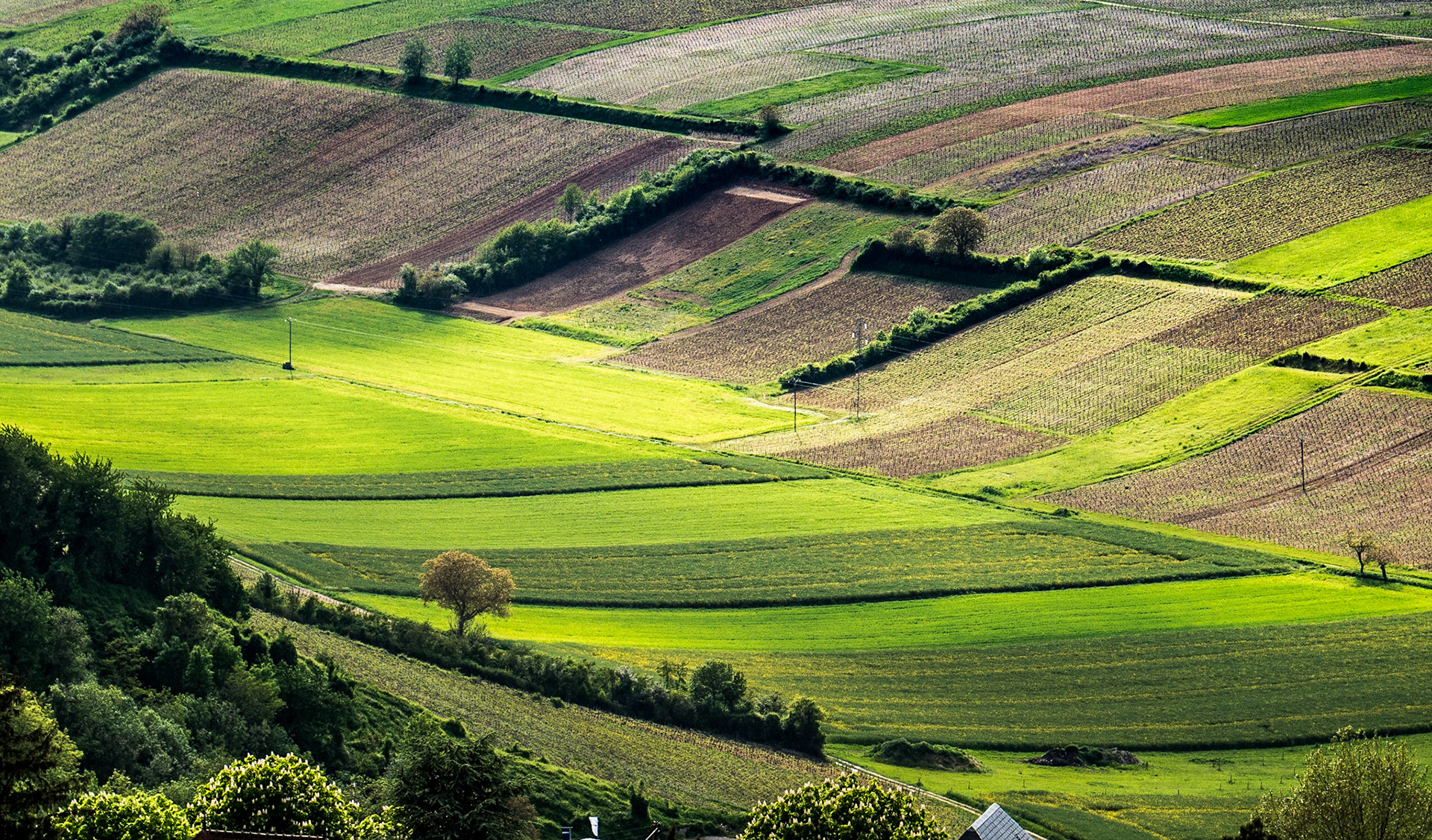 View from Tour des Fiefs, Sancerre, 15 May 2016