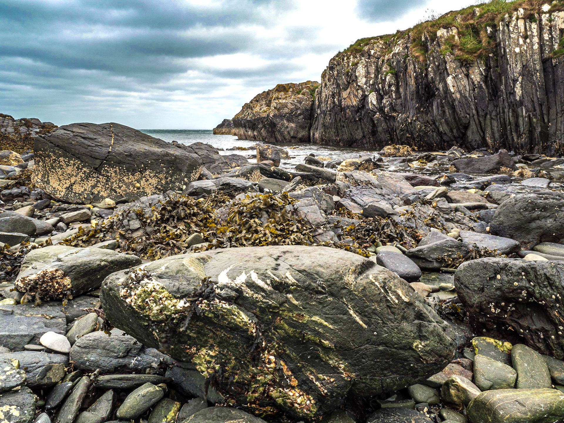 Orlock Point walk,Co Down, 19 Sep 2018