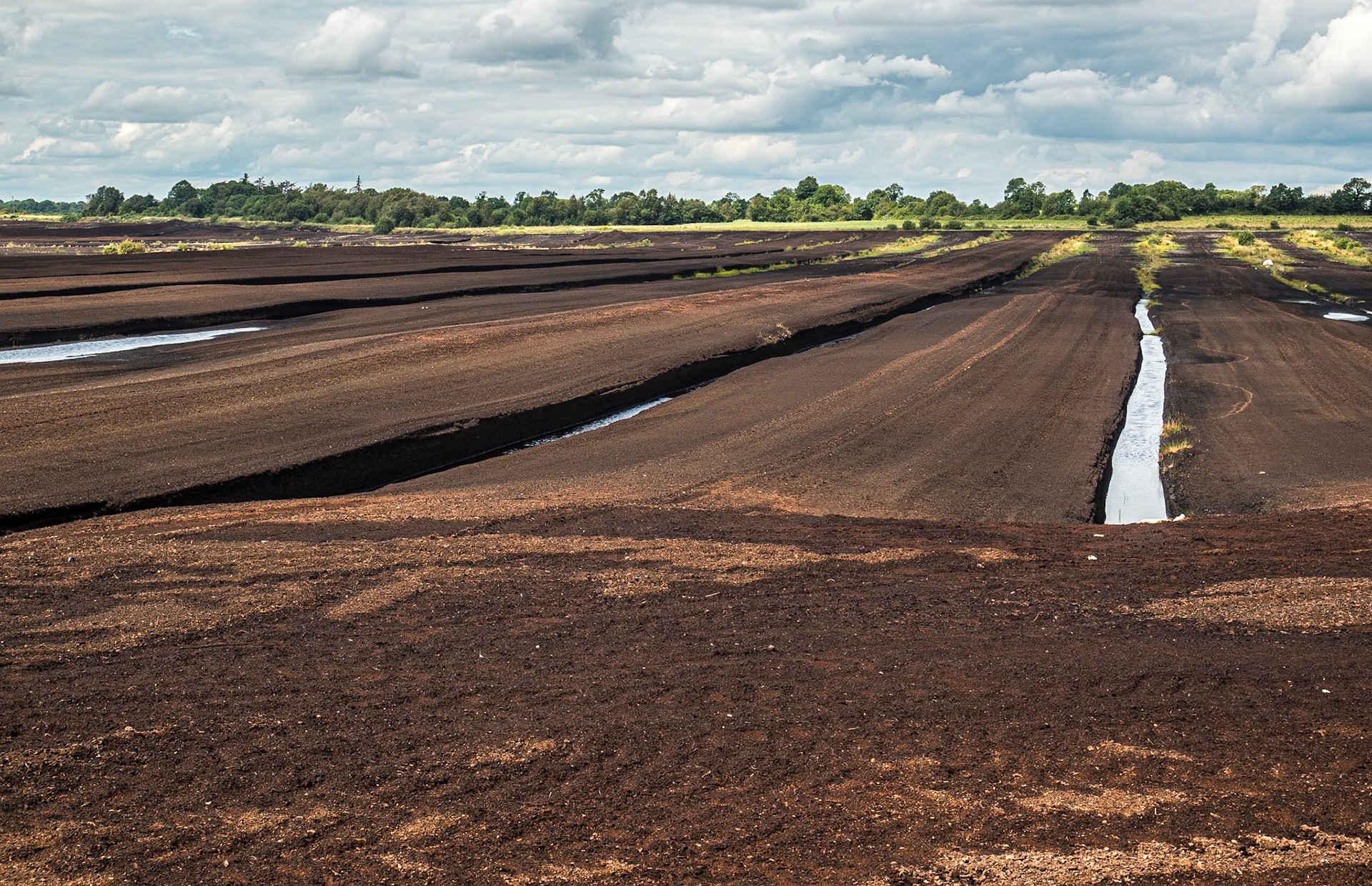On the L1141 SW of Keengah, Co Longford, 8 Aug 2019