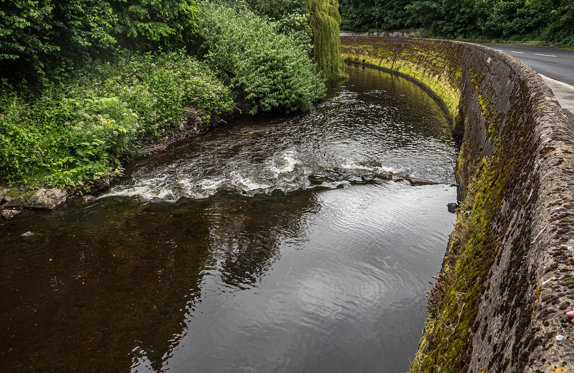 The Dodder River near Orwell Park, Dublin, 4 Jun 2024