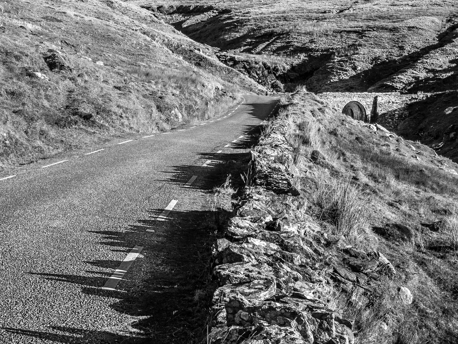 Near Glanmore Lake, Beara Peninsula, Co Kerry, 20 Nov 2016