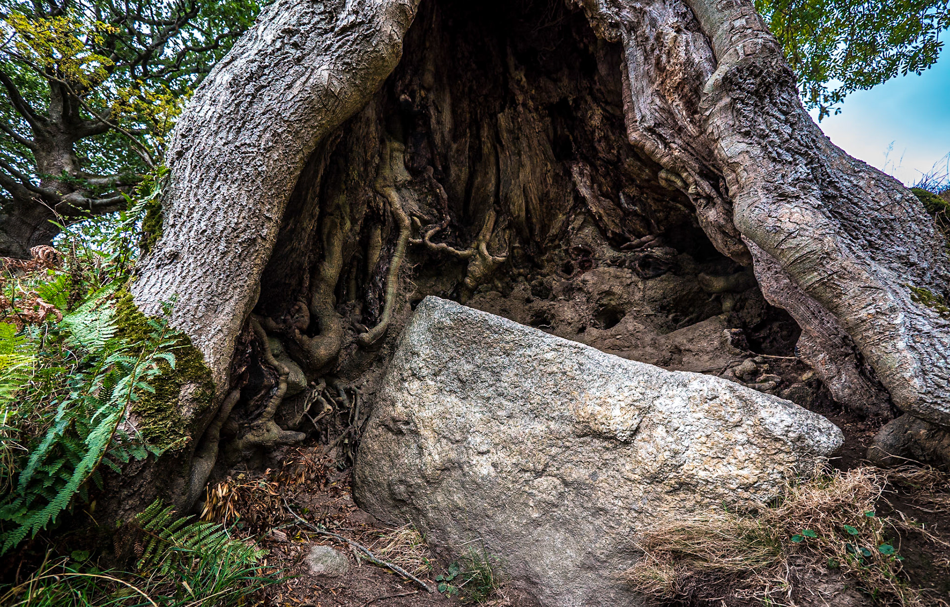 Knockree Walk, Co Wicklow, 7 Oct 2018