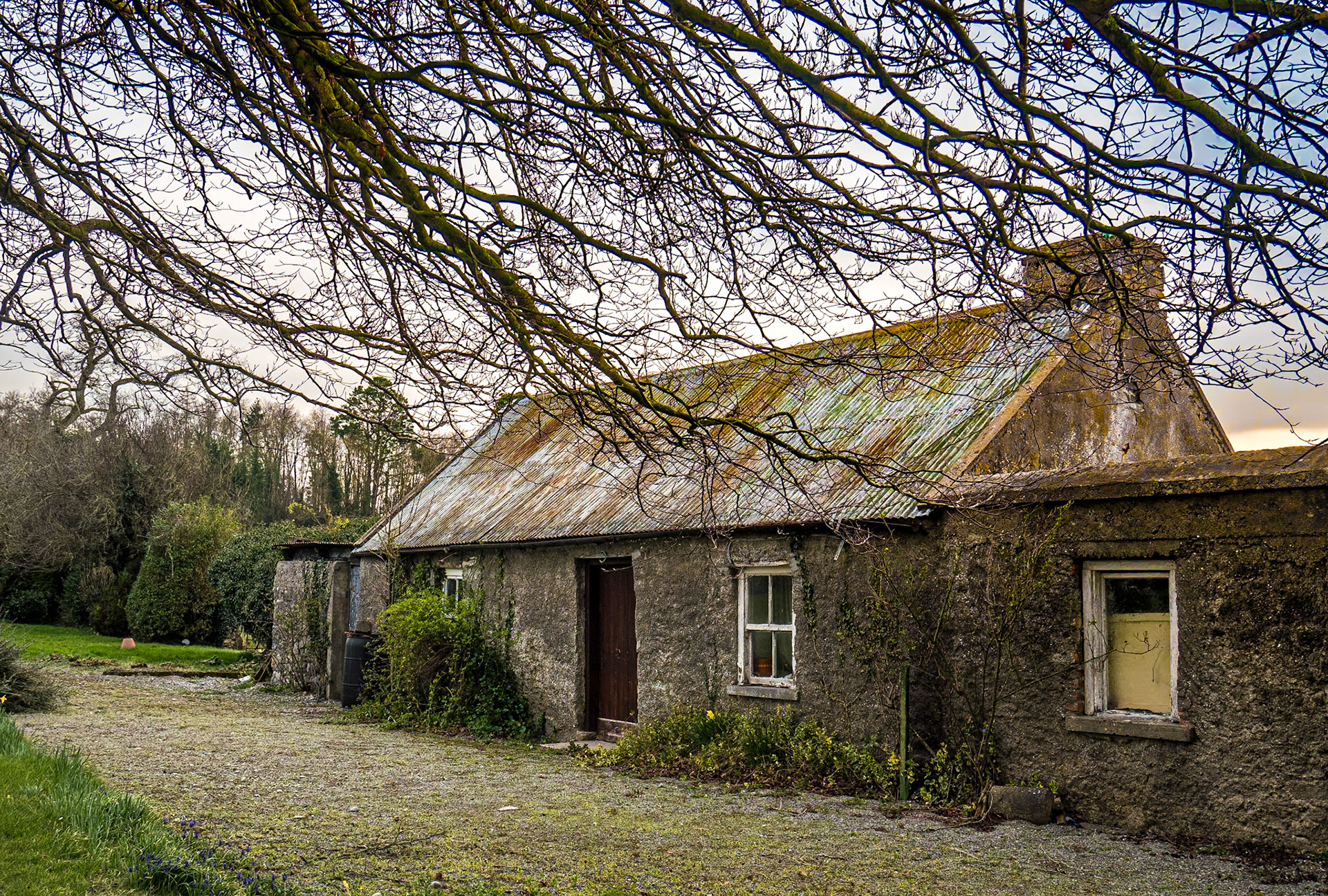 Near Roscrea, Co Tipperary, 19 Mar 2022