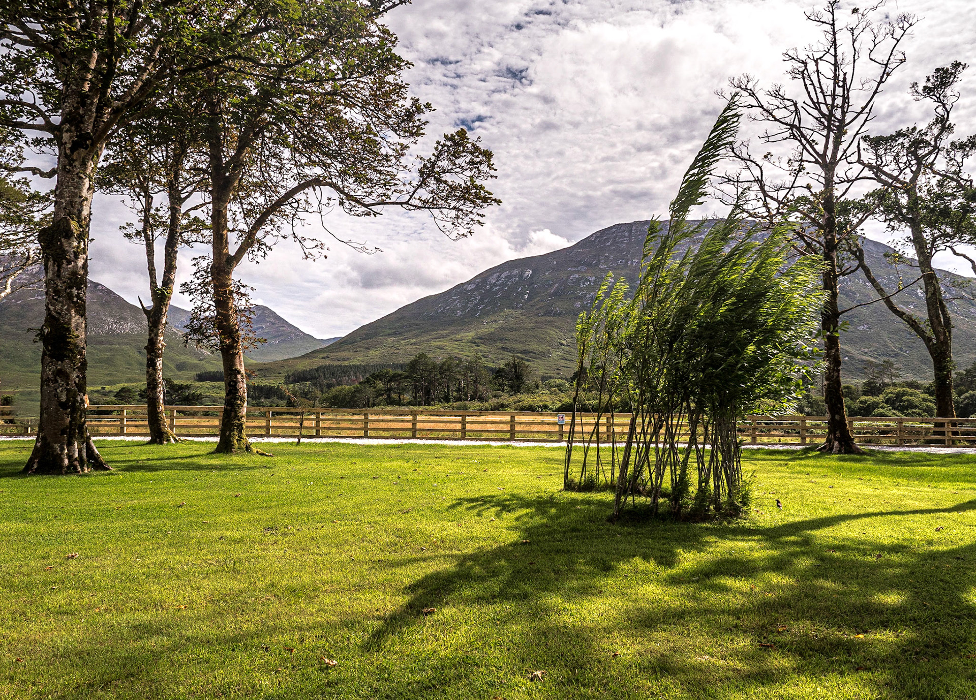 By the Walled garden, Kylemore Abbey, Co Galway, 30 Jul 2020