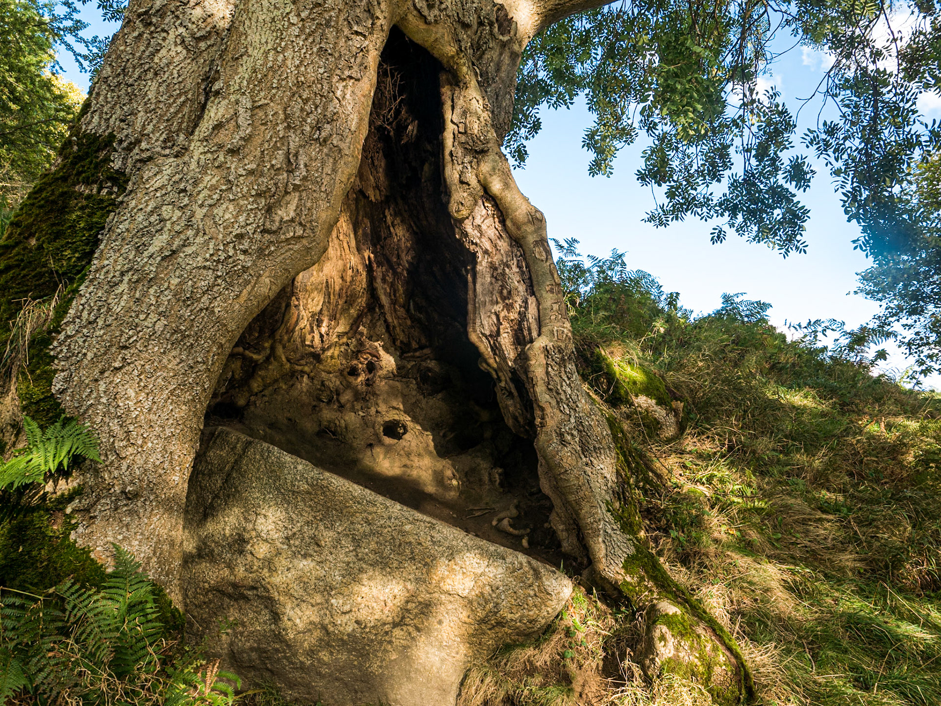 Walk at Knockree, Co Wicklow, 2 Oct 2016