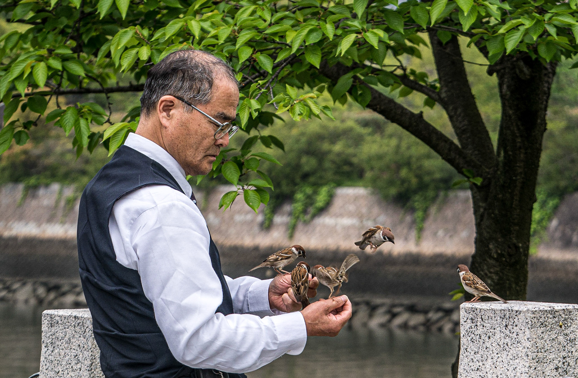 Peace Memorial Park, Hiroshima