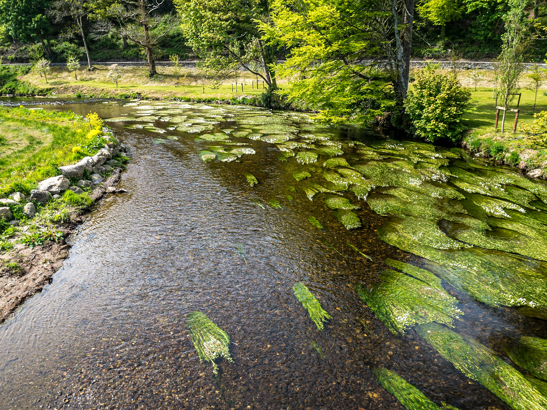 Stradbally Cove, Co Waterford, 19 May 2018