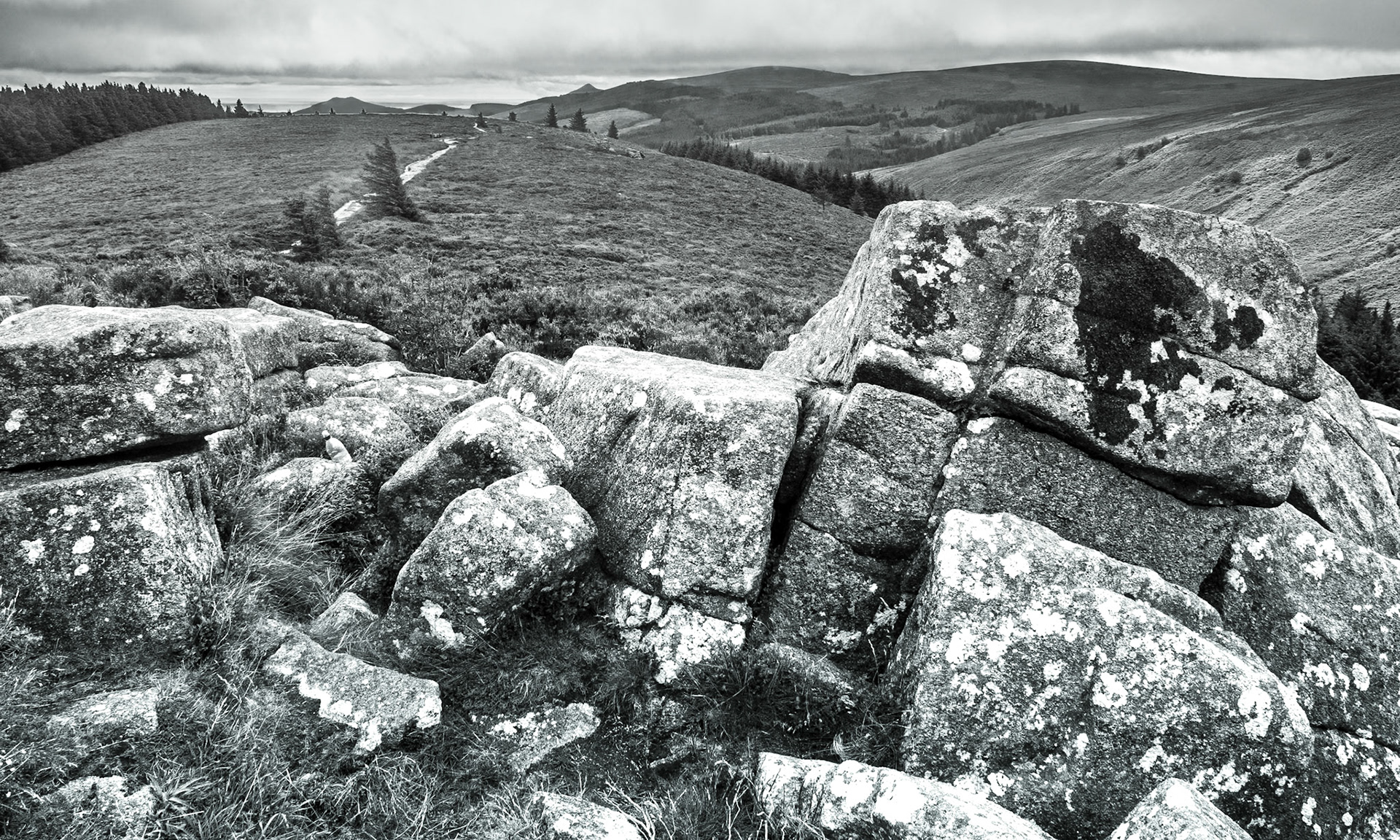 Tibradden Mountain, Co Dublin, 14 Aug 2019