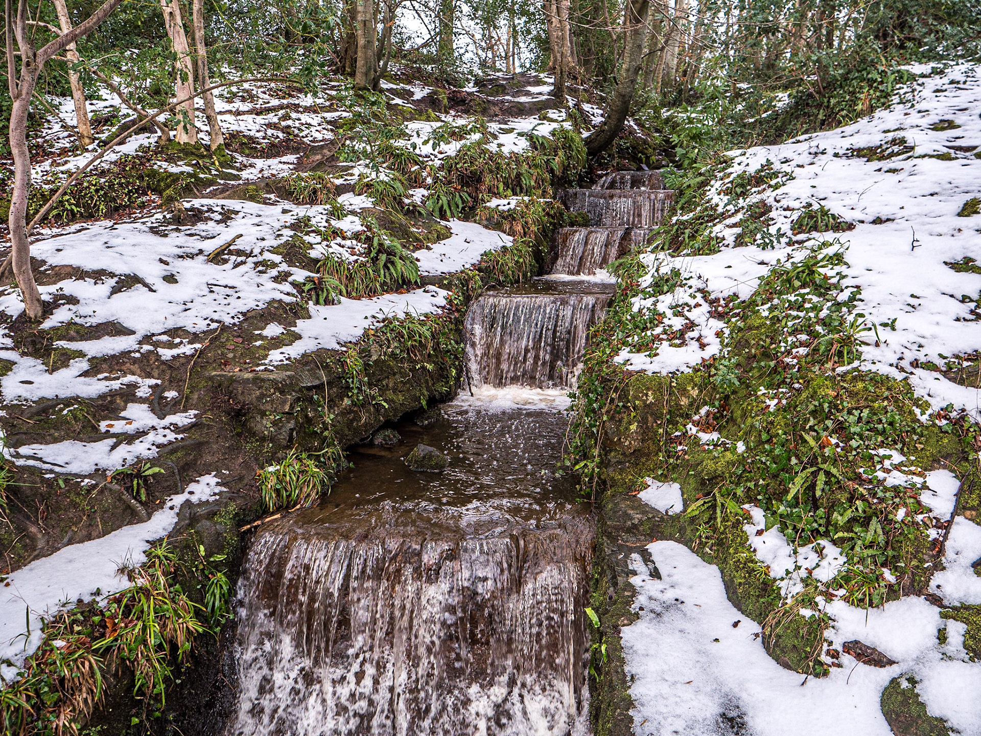 Swan Park, Buncrana, Co Donegal, 18 Jan 2023