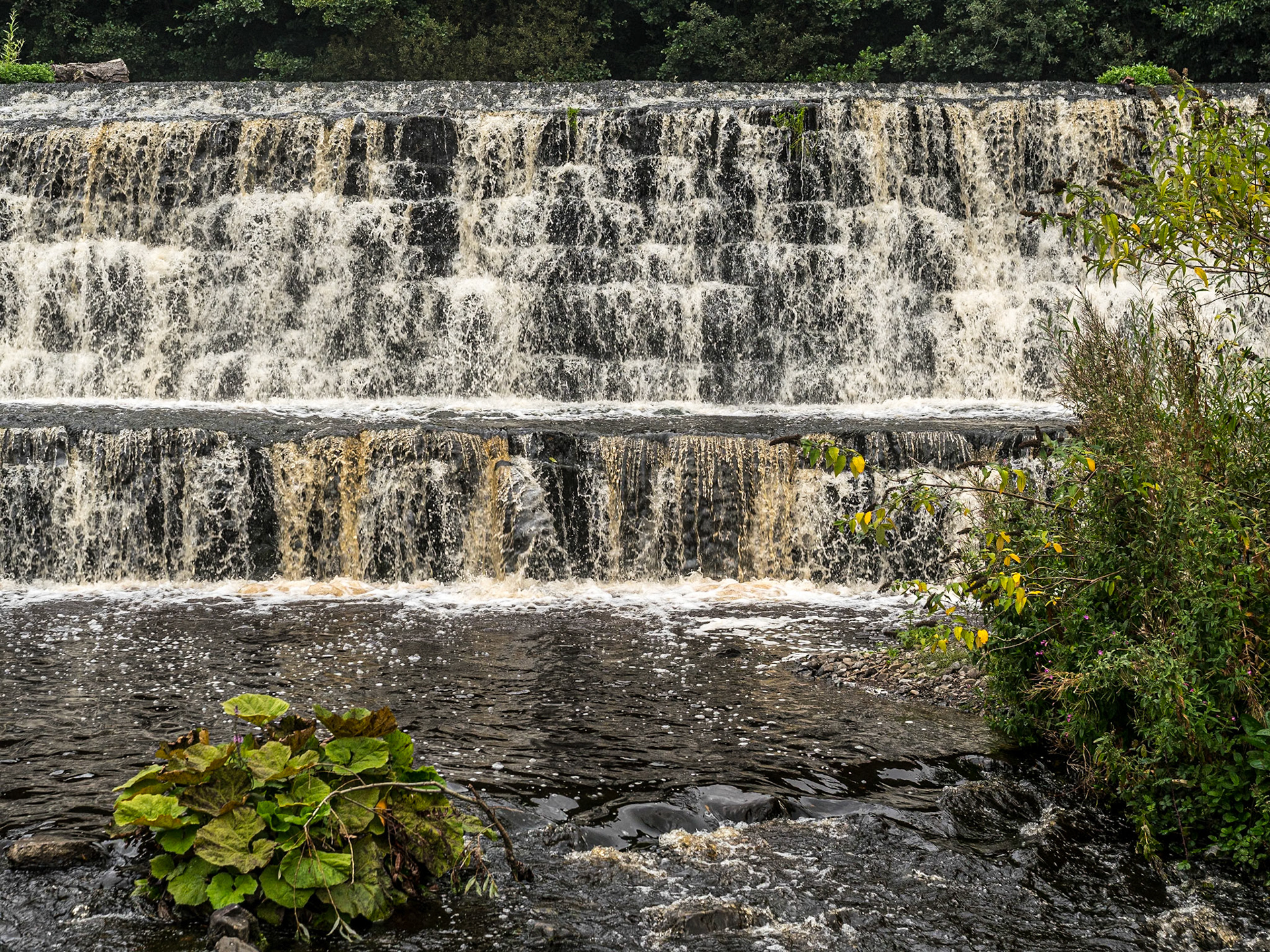 Balrothery Weir, Co Dublin, 5 Sep 2024