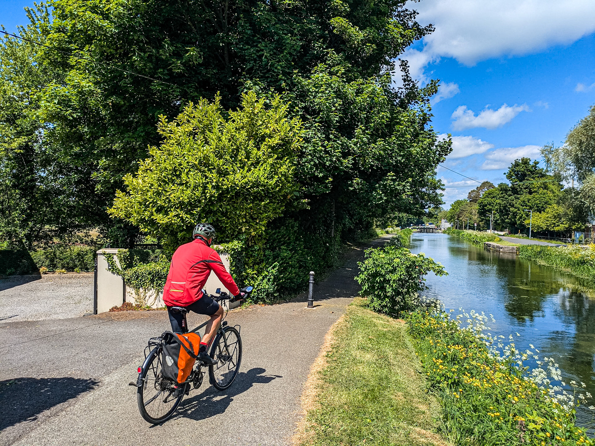 Henry, Naas, Co Kildare, 22 May 2025