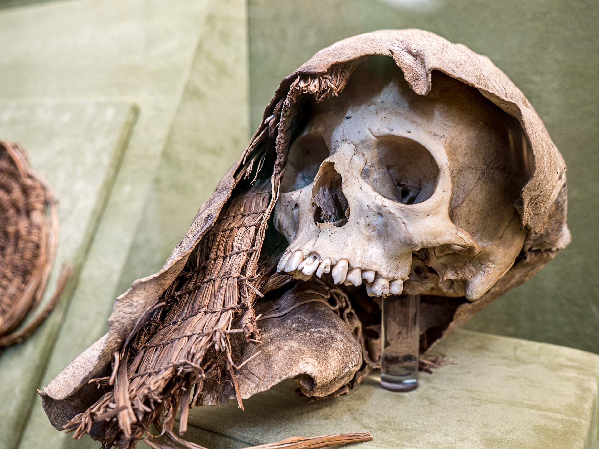 Mummified skull, Canarian Museum, Las Palmas, 25 Feb 2016