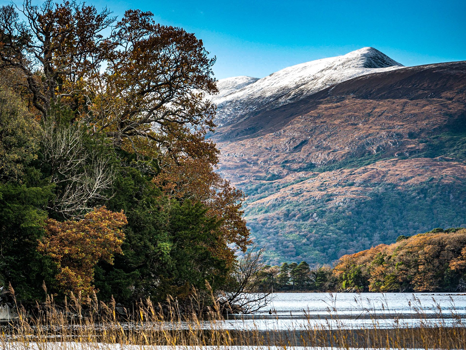 Muckross lake, Killarney, 21 Nov 2016