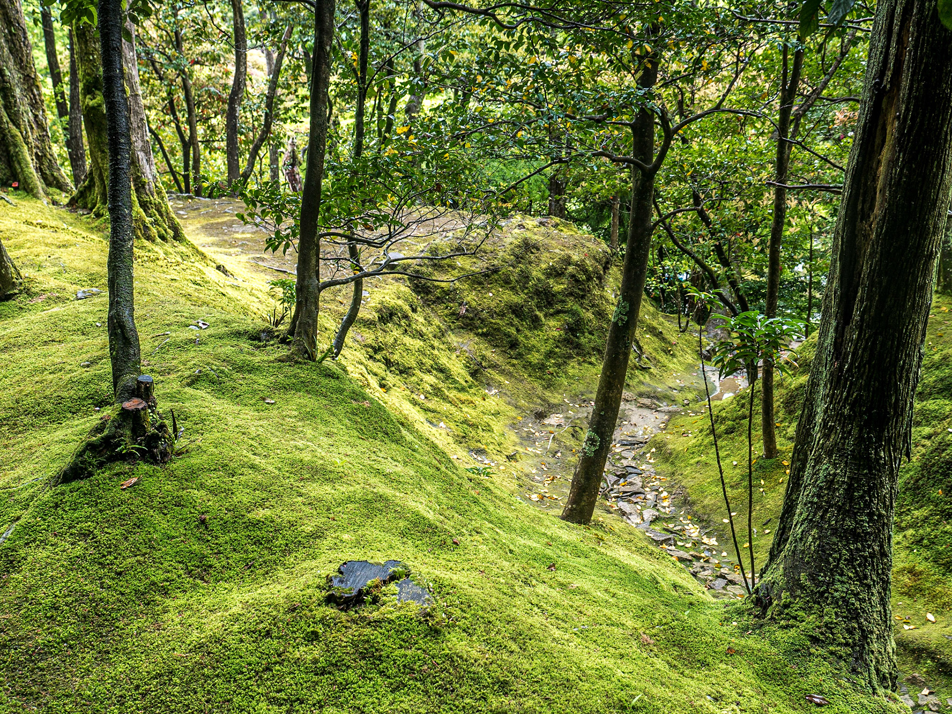 Ginkaku-ji (Jisho-ji) temple, Kyoto, 28 Apr 2016