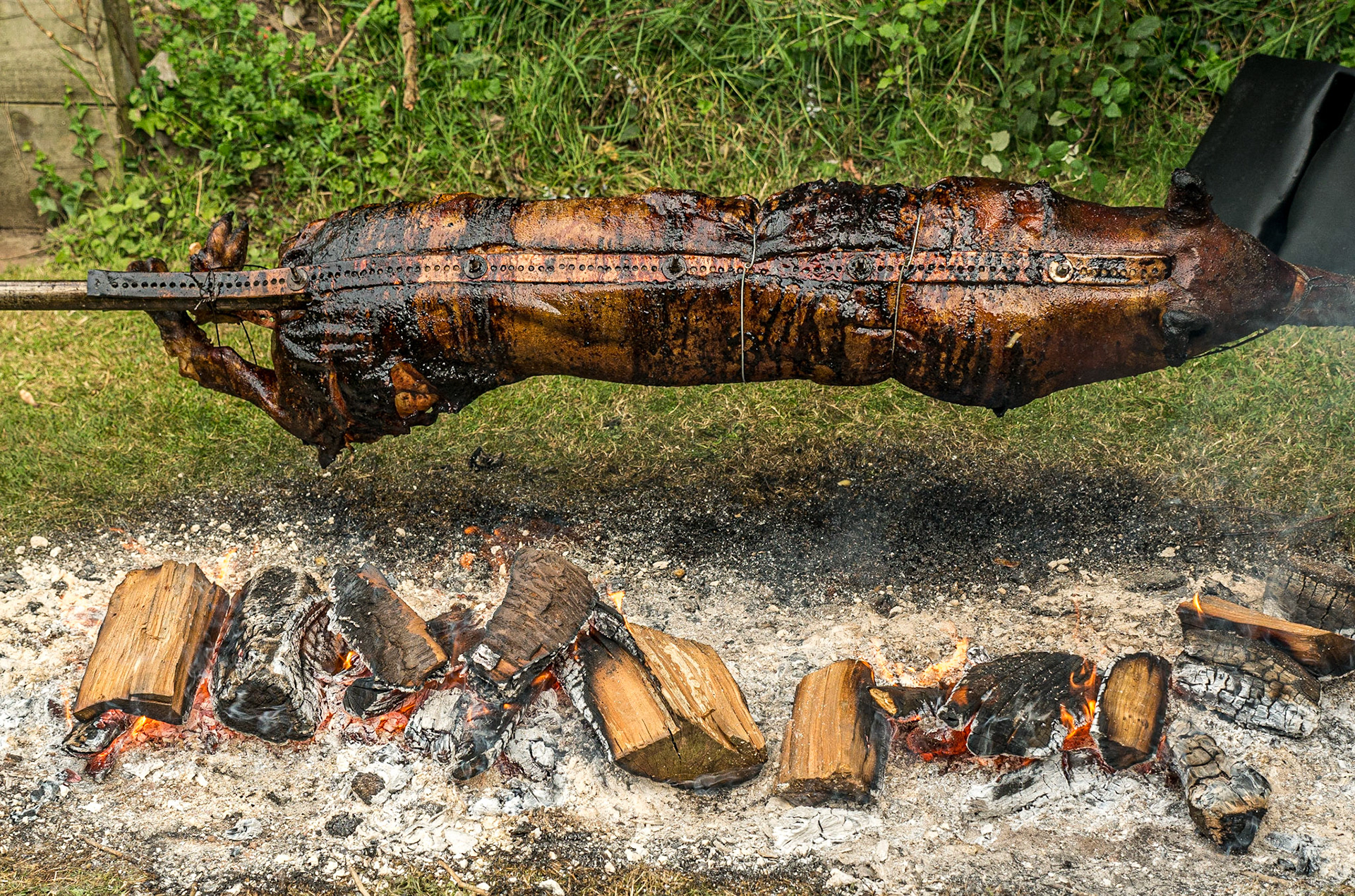 Pig on a spit, wedding reception, Portrane, 30 Jul 2016