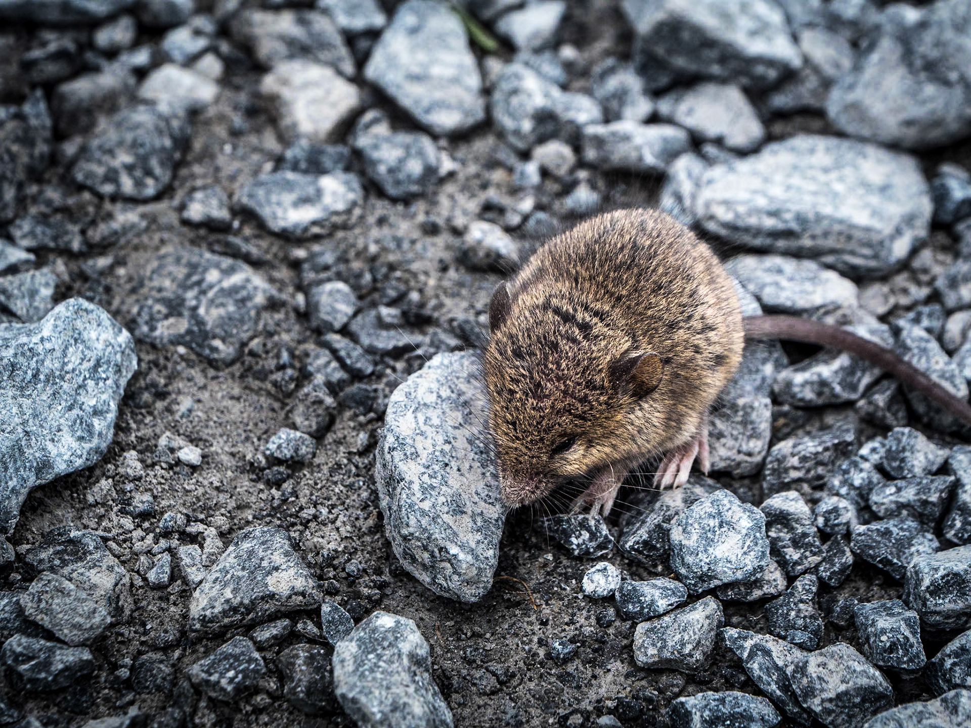 Cliffs of Moher walk, 30 Aug 2023