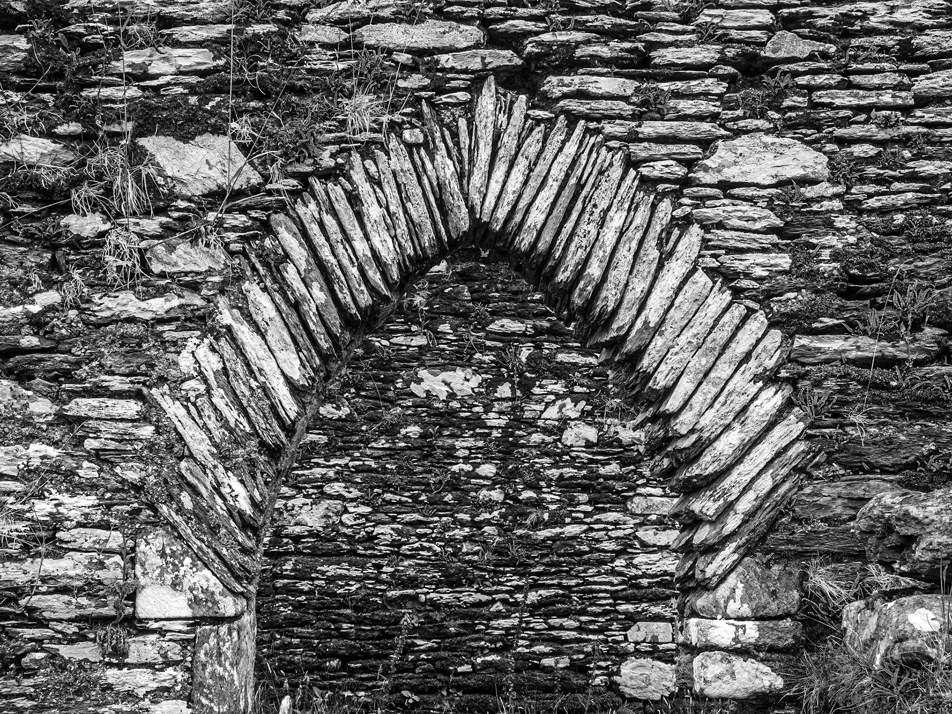 Srugrena Cemetery, east of Cahersiveen, Co Kerry, 14 Jul 2021