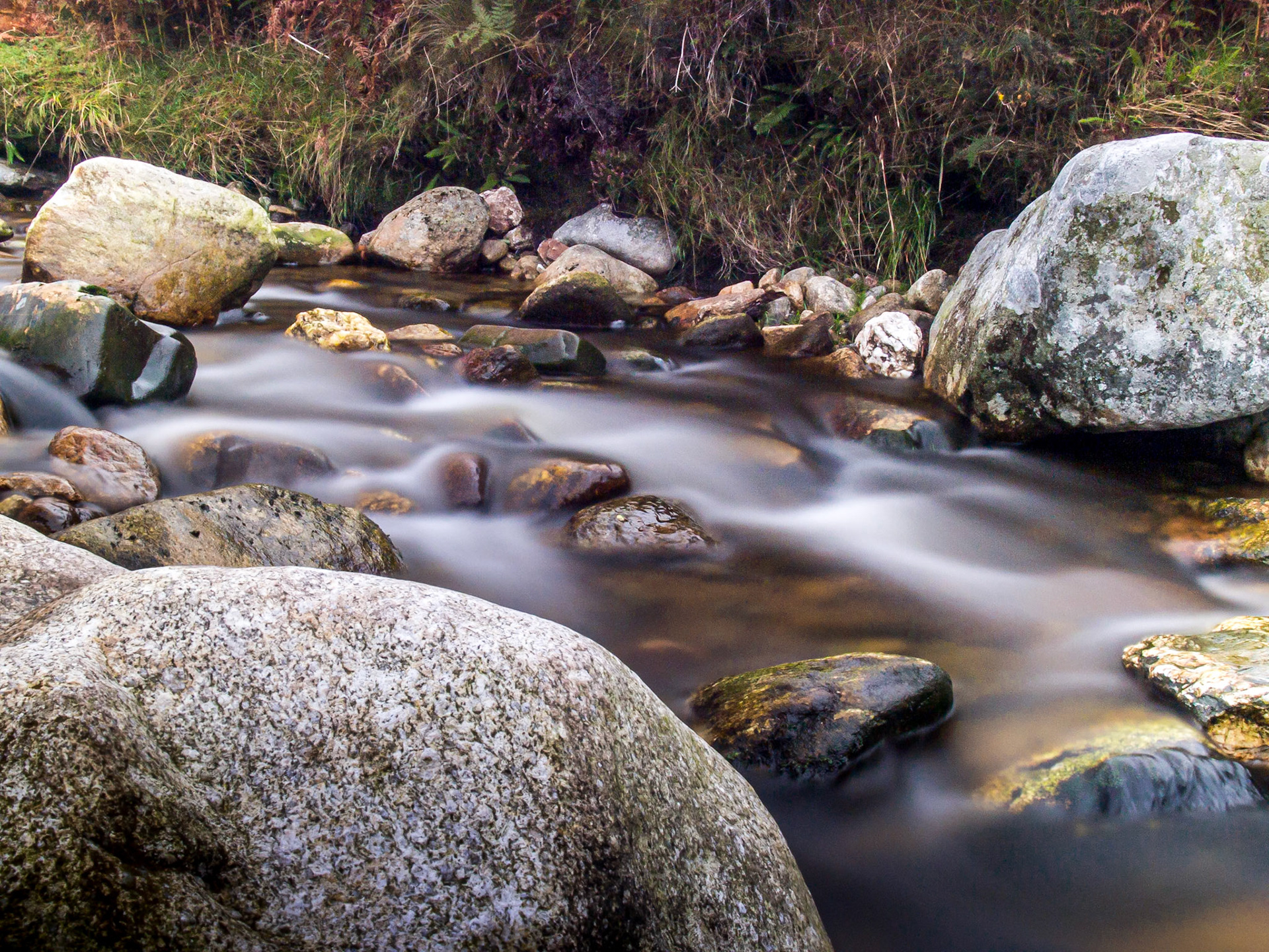 Dargle river above Powerscourt Waterfall, Co Wicklow, 13 Oct 2013
