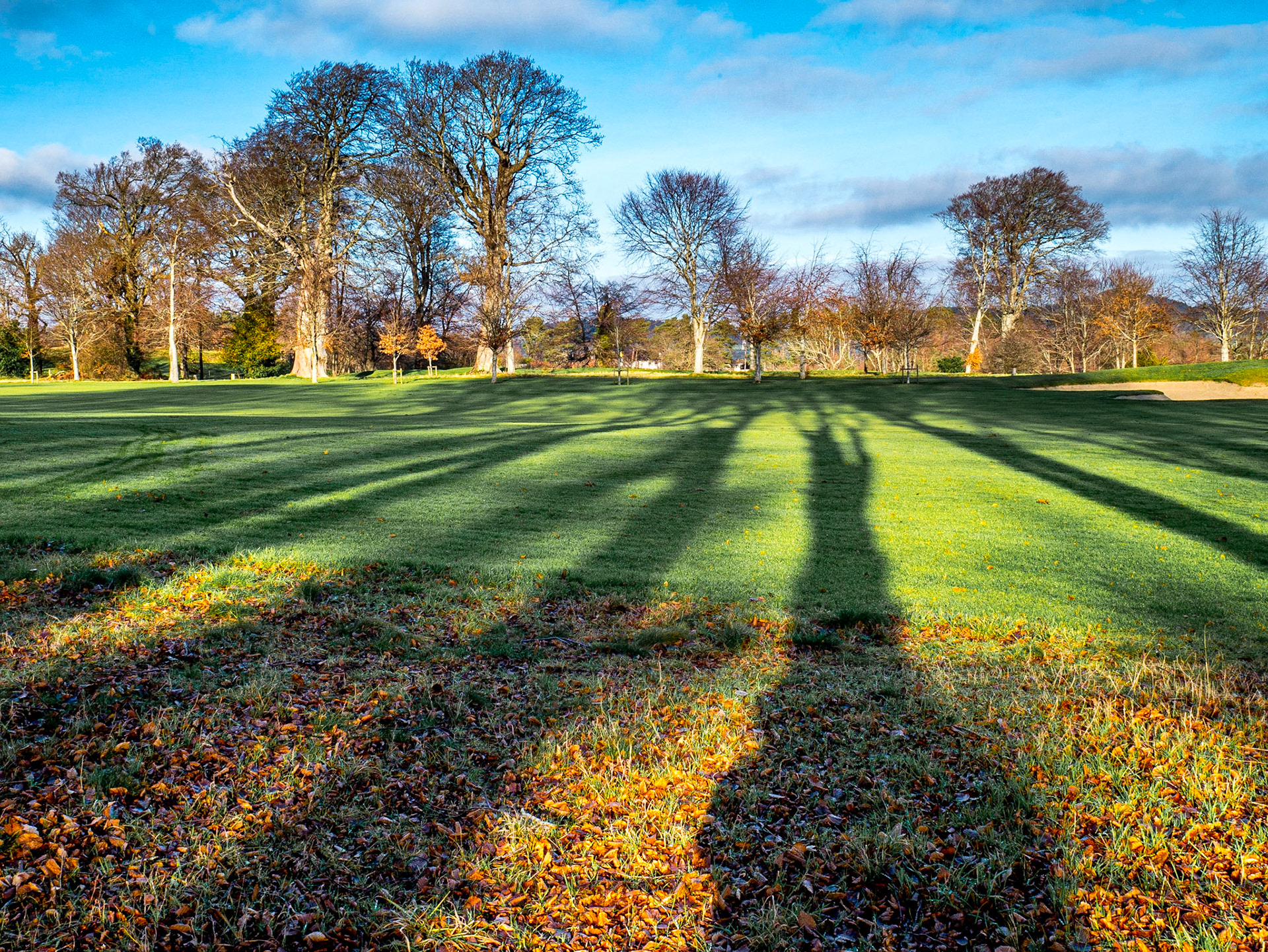 Powerscourt Estate, Co Wicklow, 11 Jan 2018