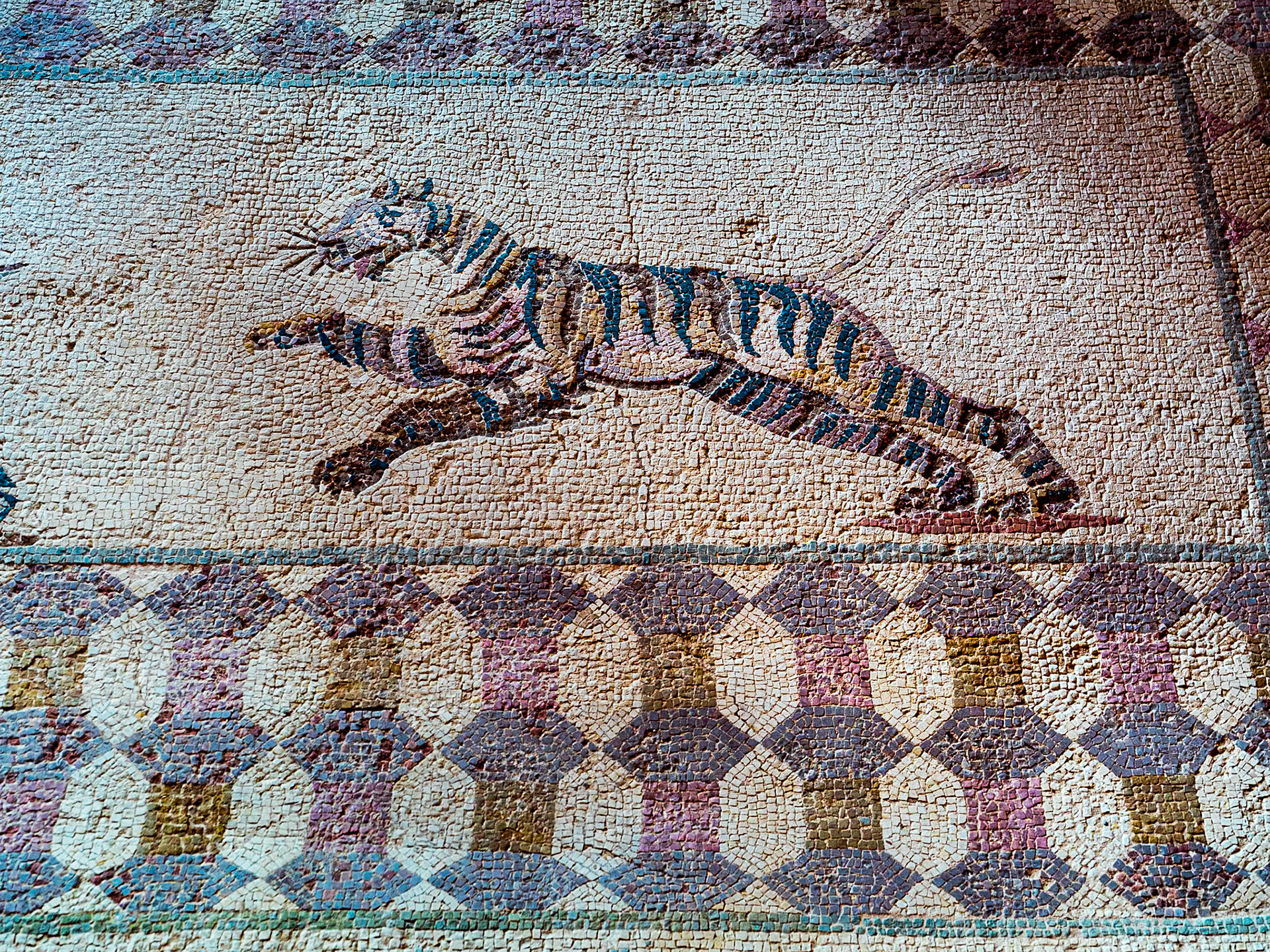 Floor mosaic, Archaeological Site of Nea Paphos, Cyprus, 9 Feb 2025