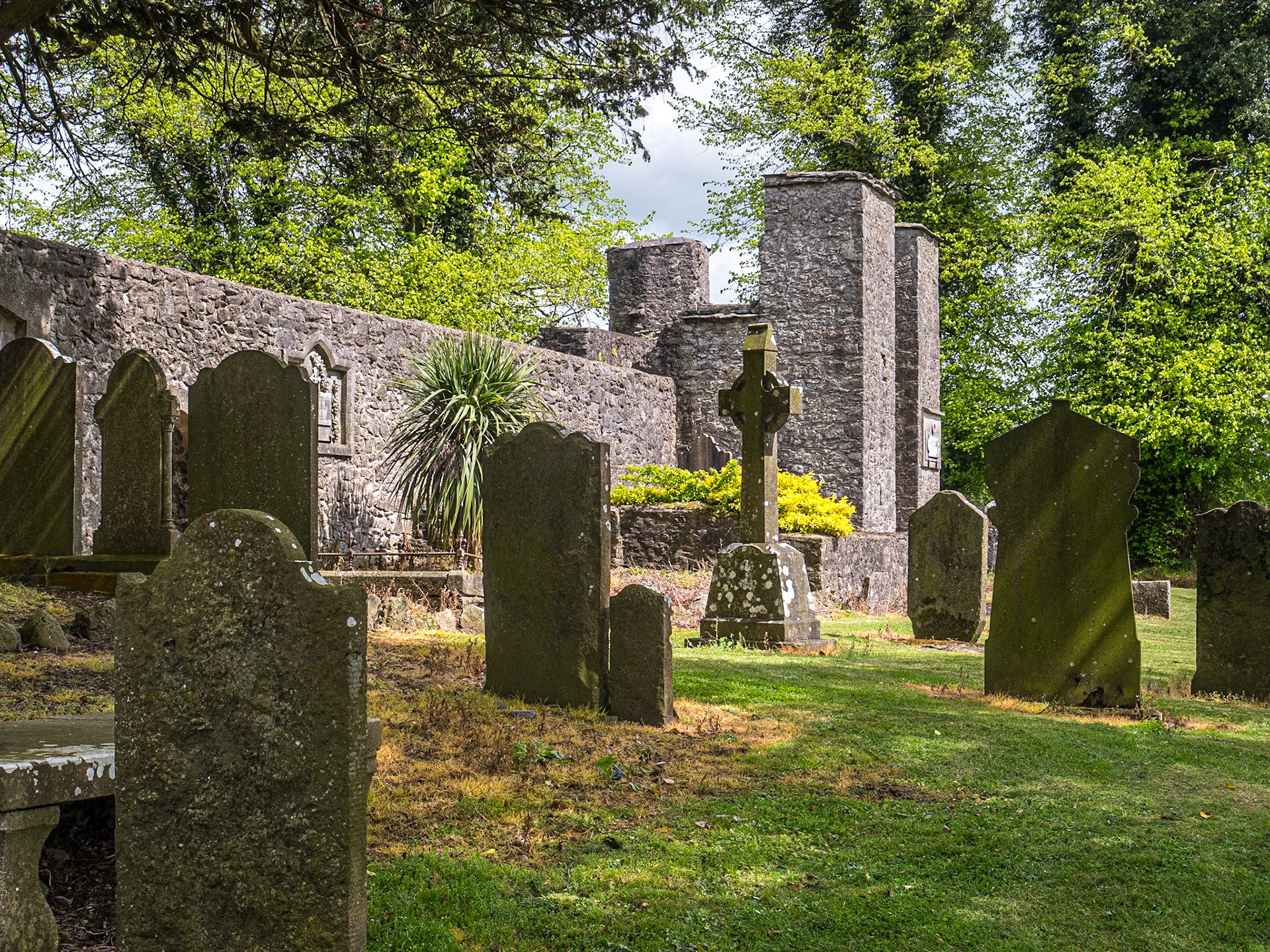 Old Mainham Church, Co Kildare, 2 May 2023