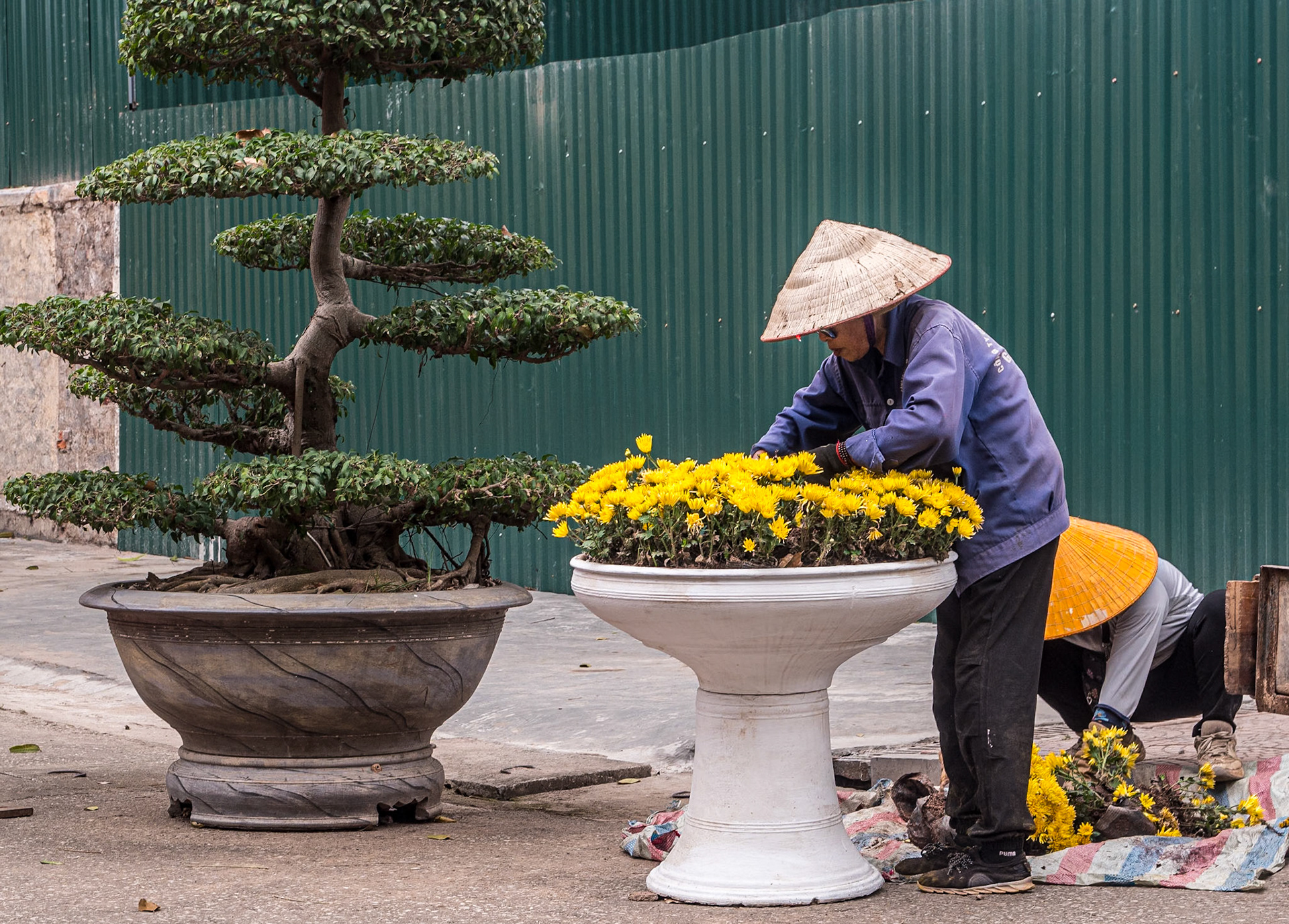 Imperial Citadel of Thang Long, Hanoi