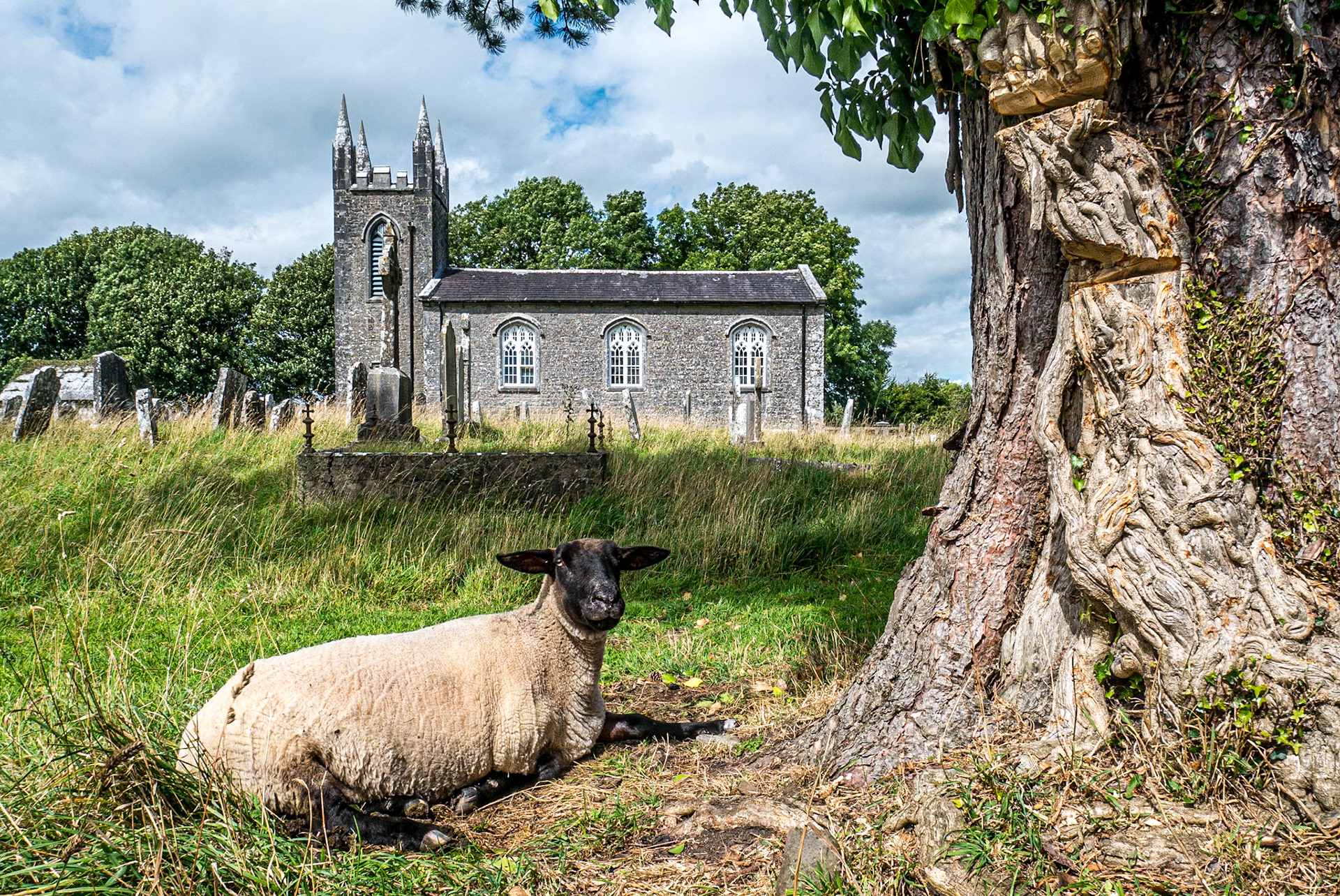 Magorban Church, Co Tipperary, 17 Aug 2017