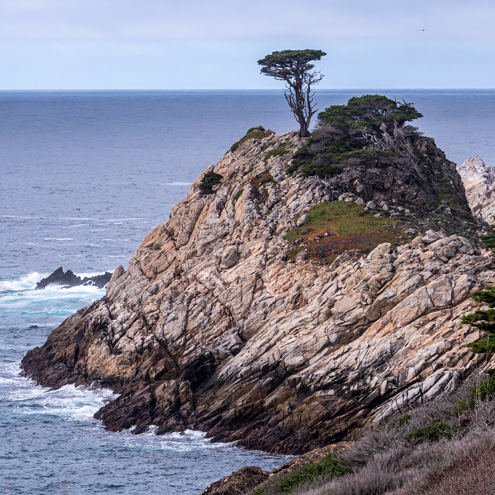 Point Lobos State Natural Reserve, California, 22 Jan 2024