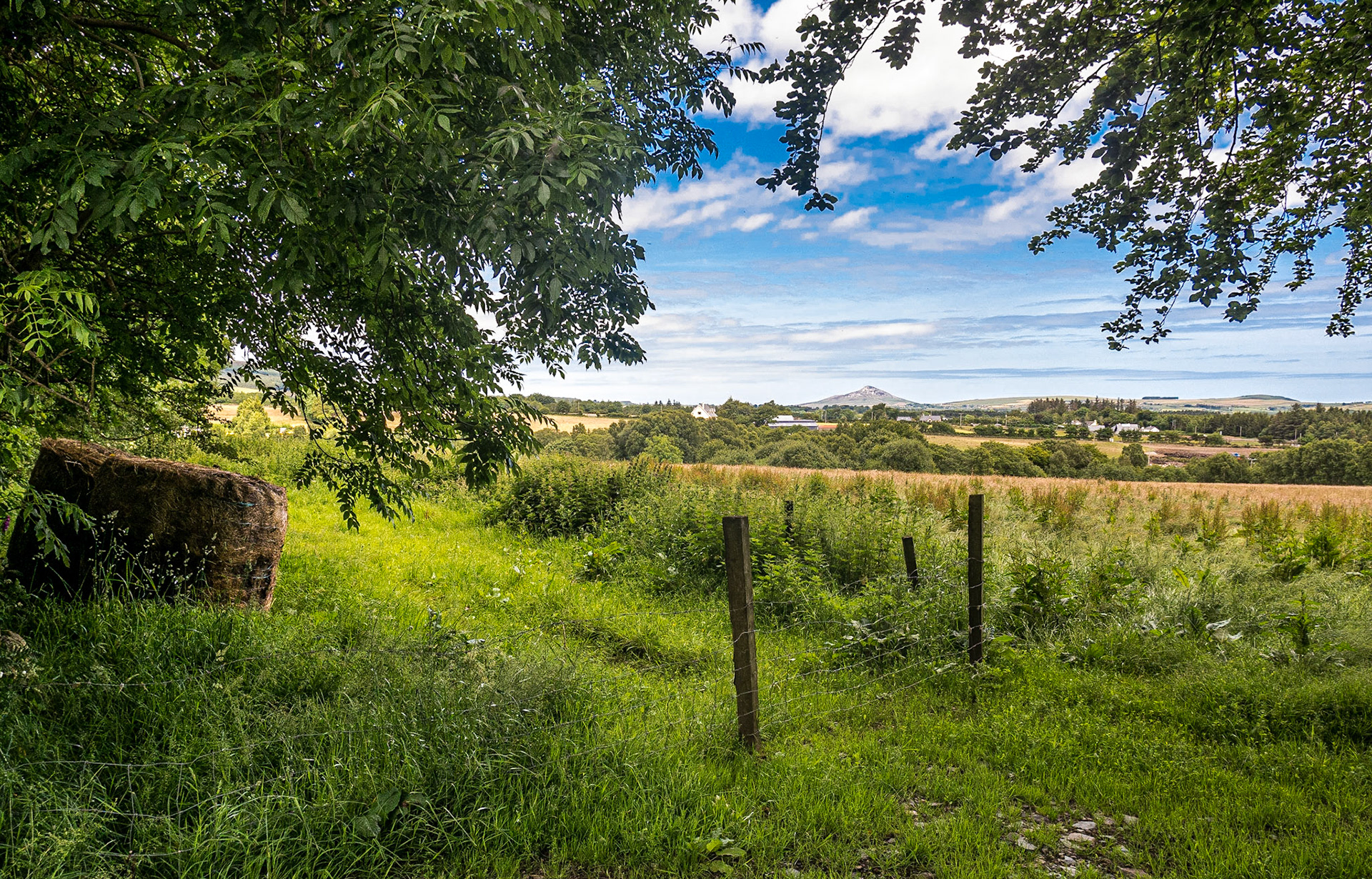 Near Roundwood, Co Wicklow, 9 Jul 2015