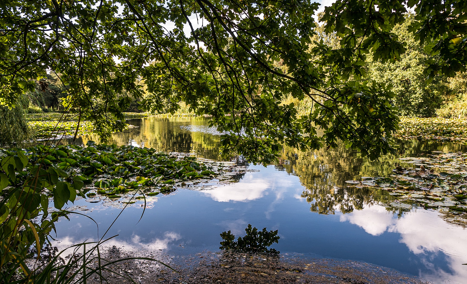 Grounds of Farmleigh, Dublin, 26 Sep 2014