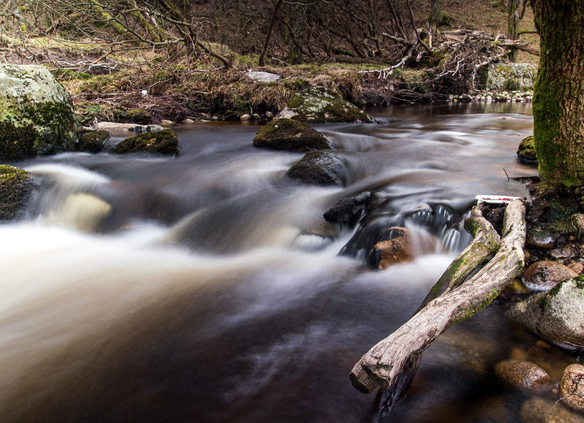 Walk in Oak Glen, Co Wicklow, 7 Apr 2013