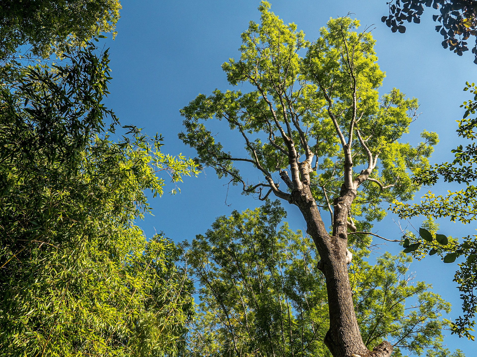 Claude Monet's garden, Giverny, 23 Sep 2021
