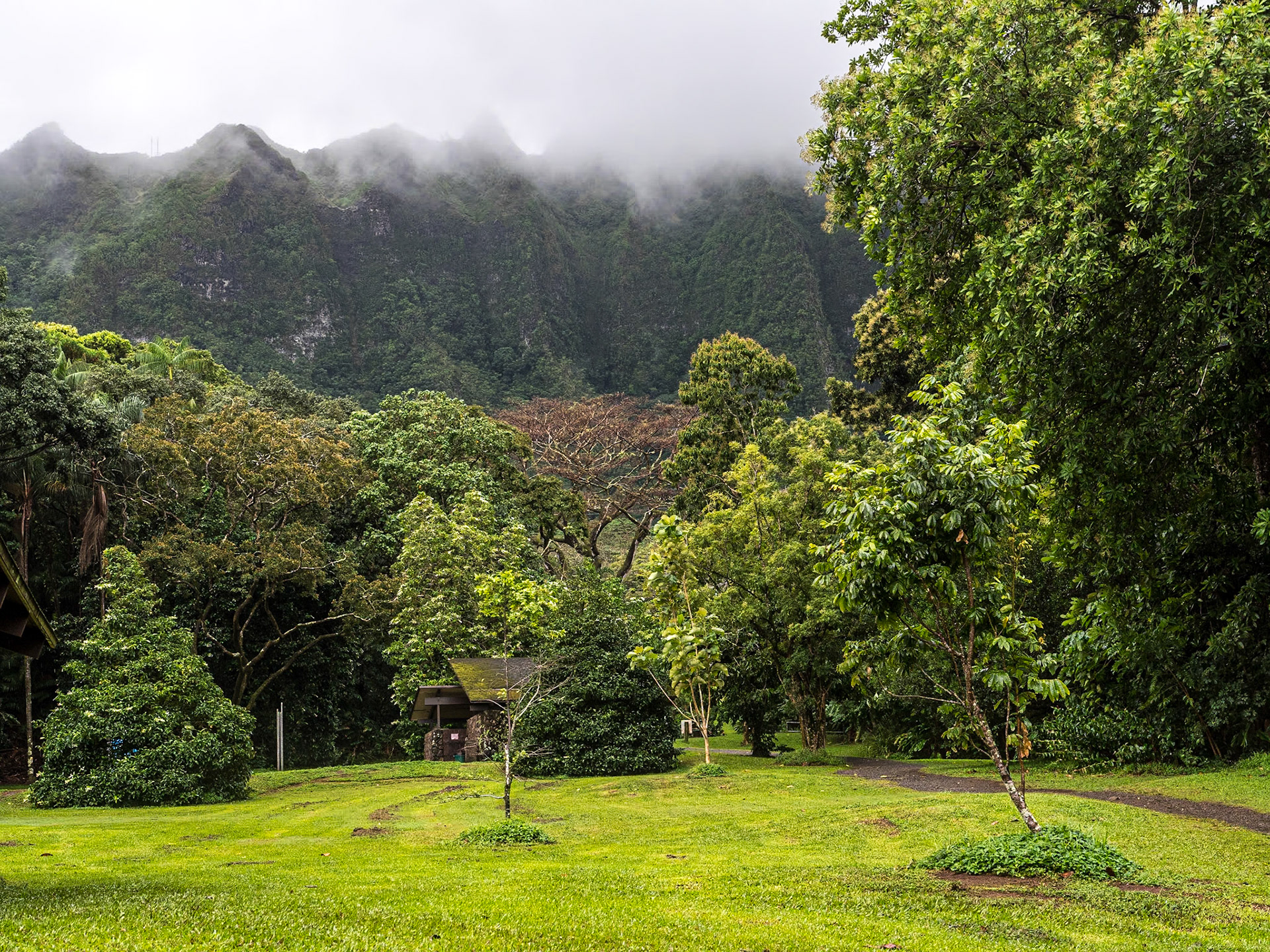Hoʻomaluhia Botanical Garden, O'ahu, Hawaii, 28 Jan 2024
