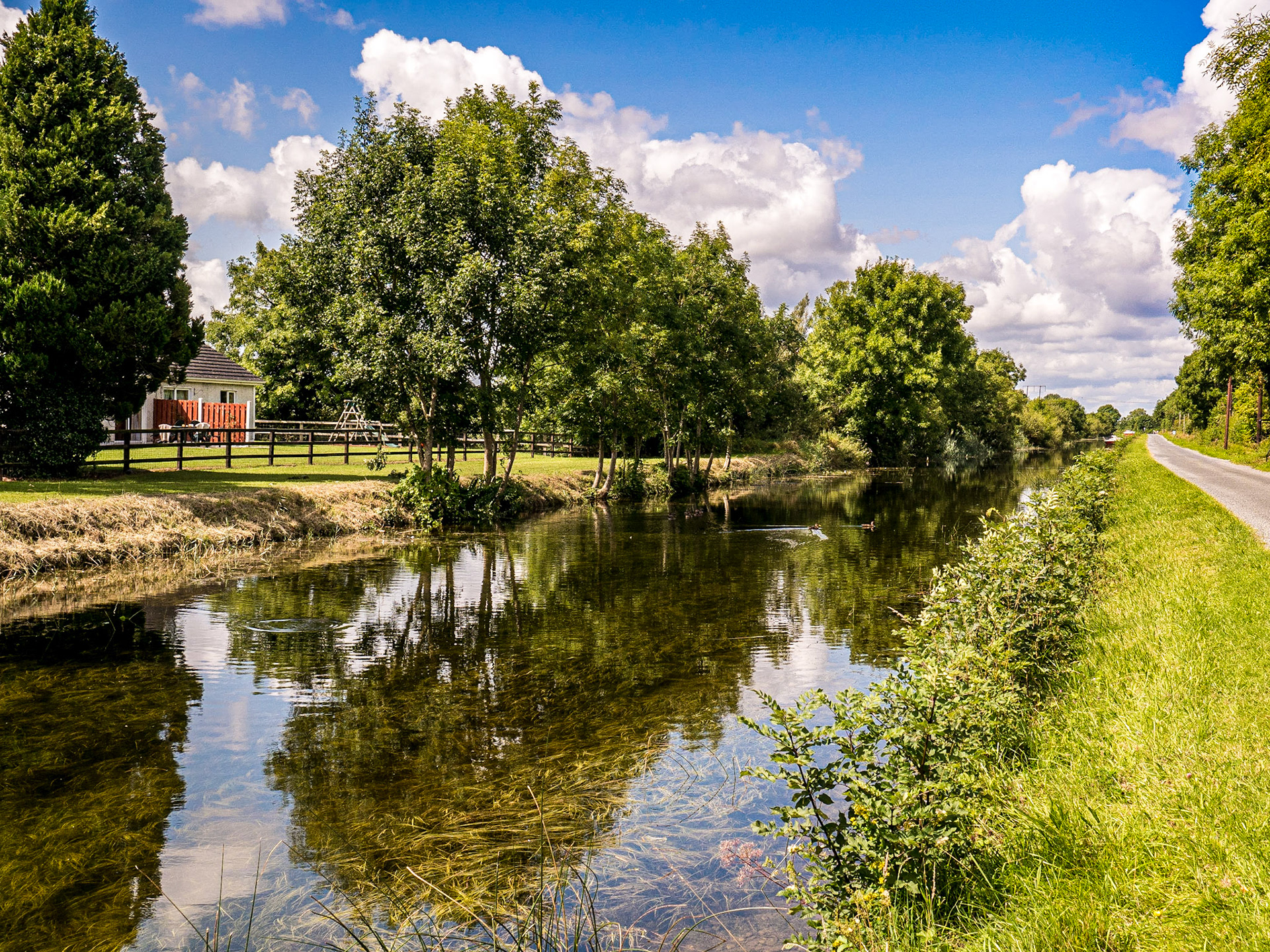 Canal near Robertstown, Co Kildare, 4 Aug 2014
