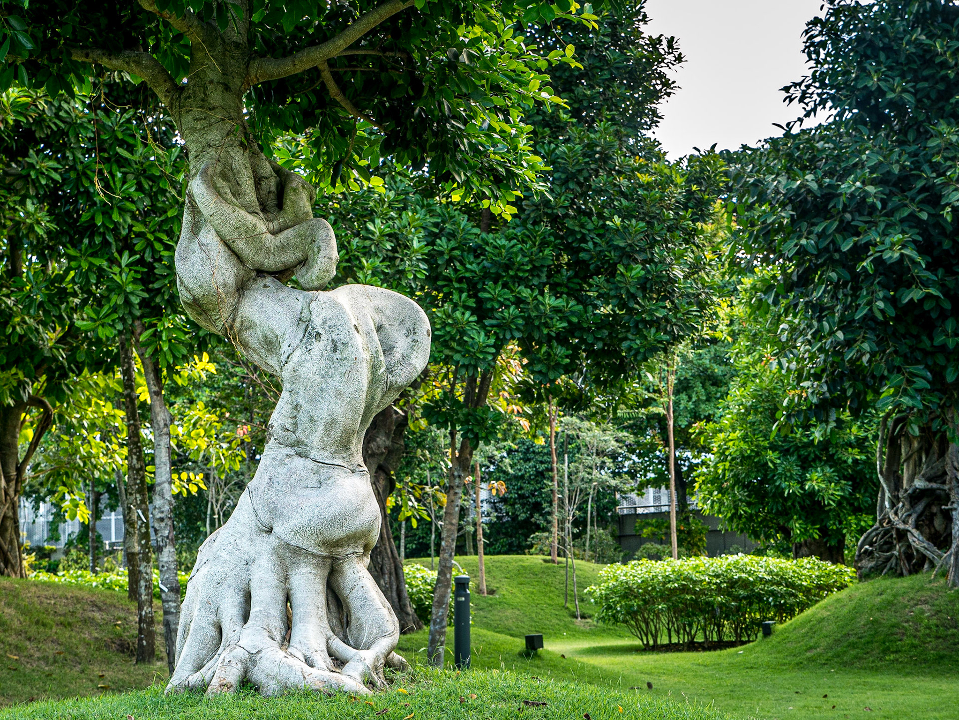Gardens by the Bay, Singapore, 3 Jun 2017