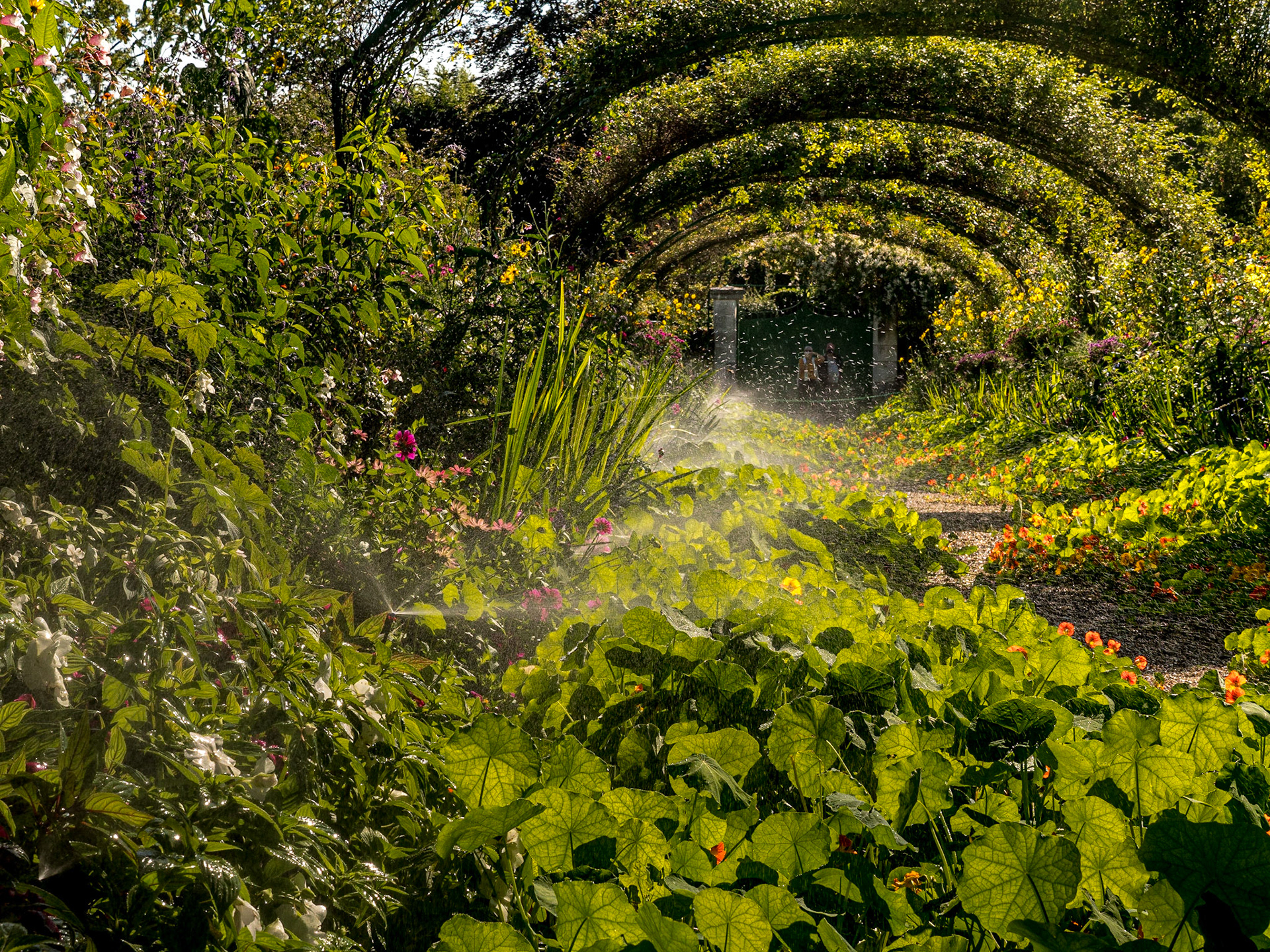 Claude Monet's garden, Giverny, 23 Sep 2021