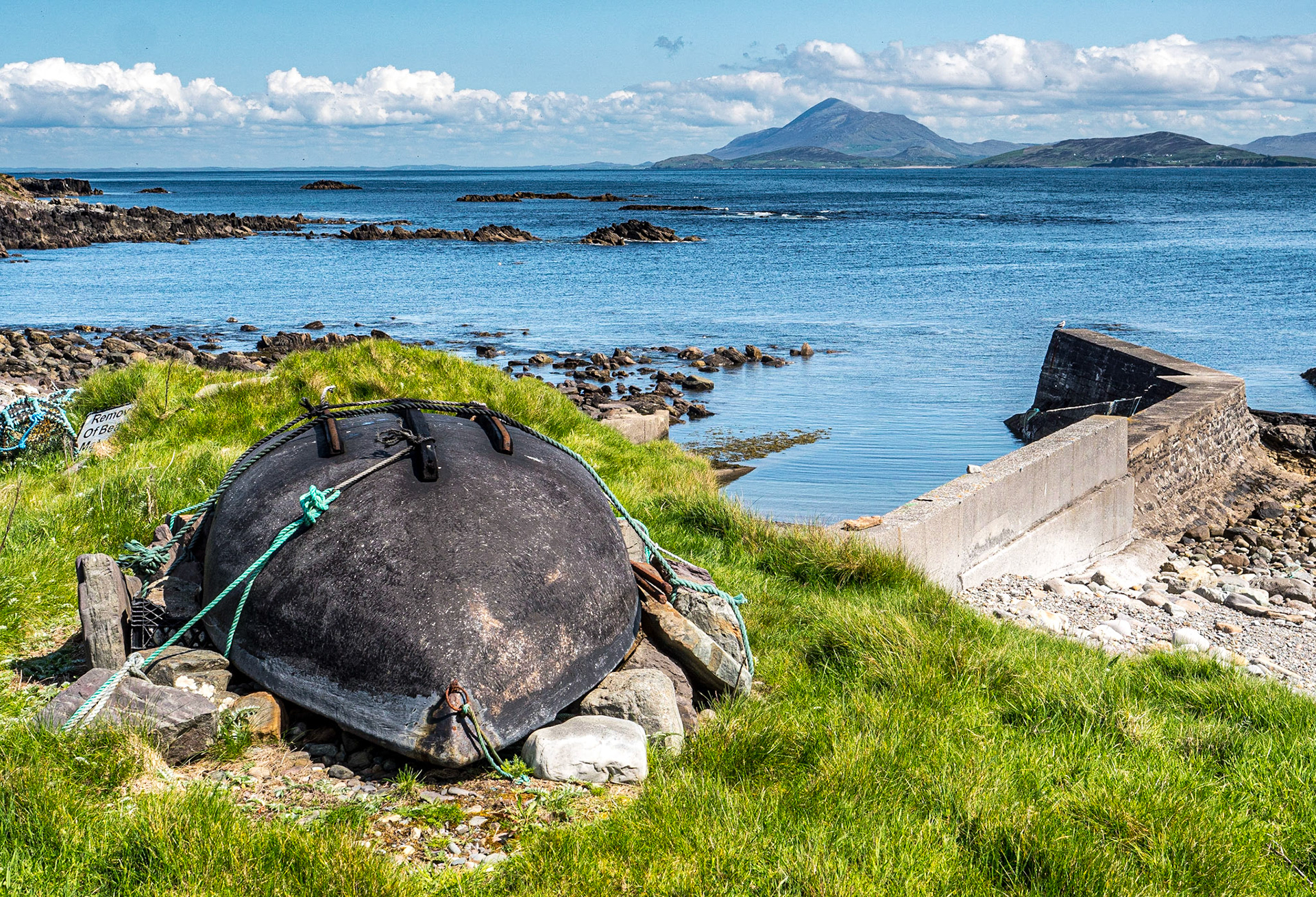 Clare Island, 12 May 2023
