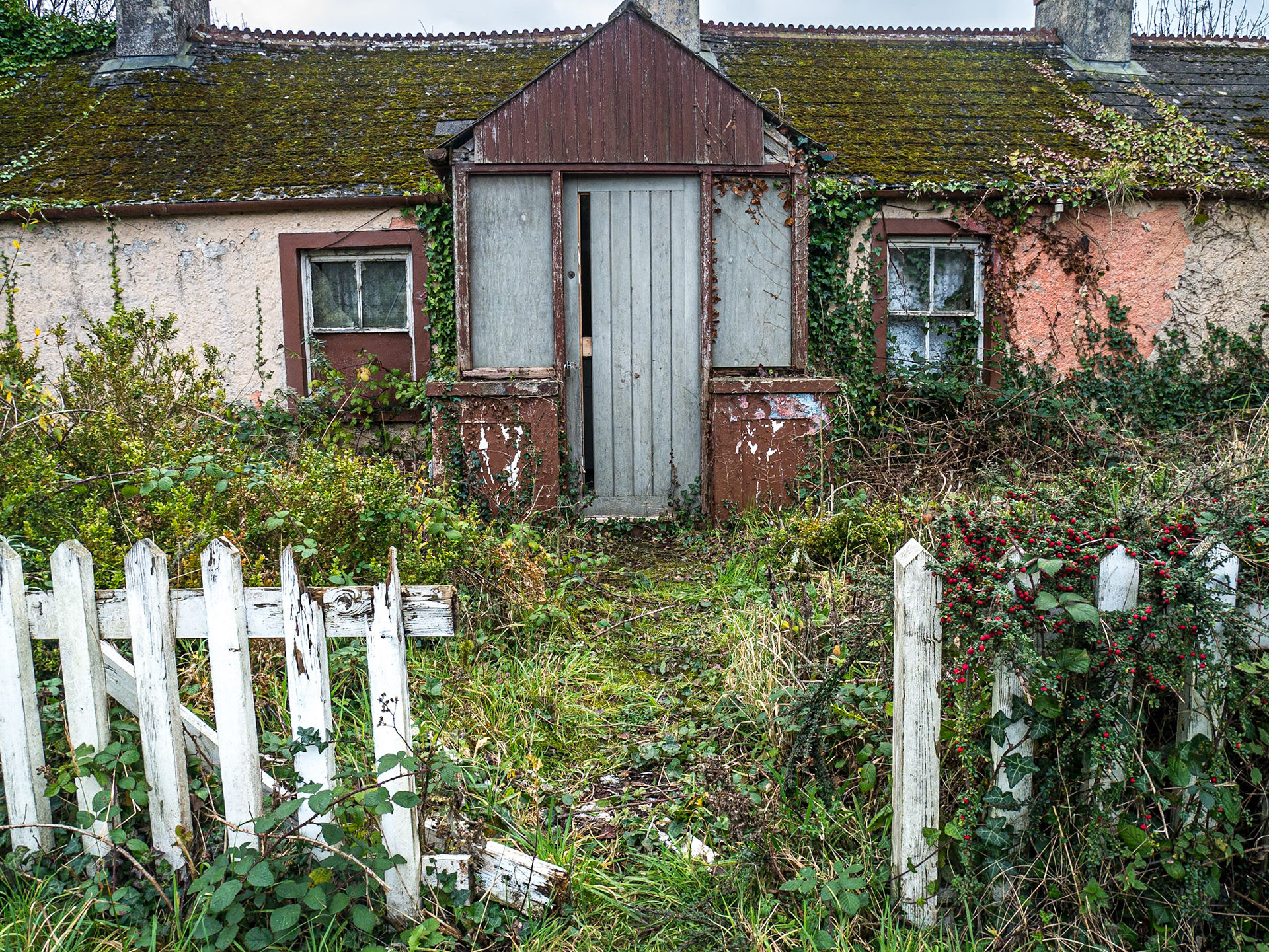 Near Knock, Co Meath, 3 Nov 2017
