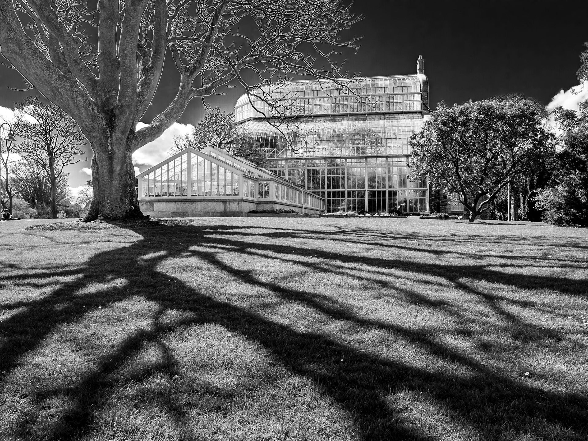 Botanic Gardens, Dublin, 6 Apr 2014