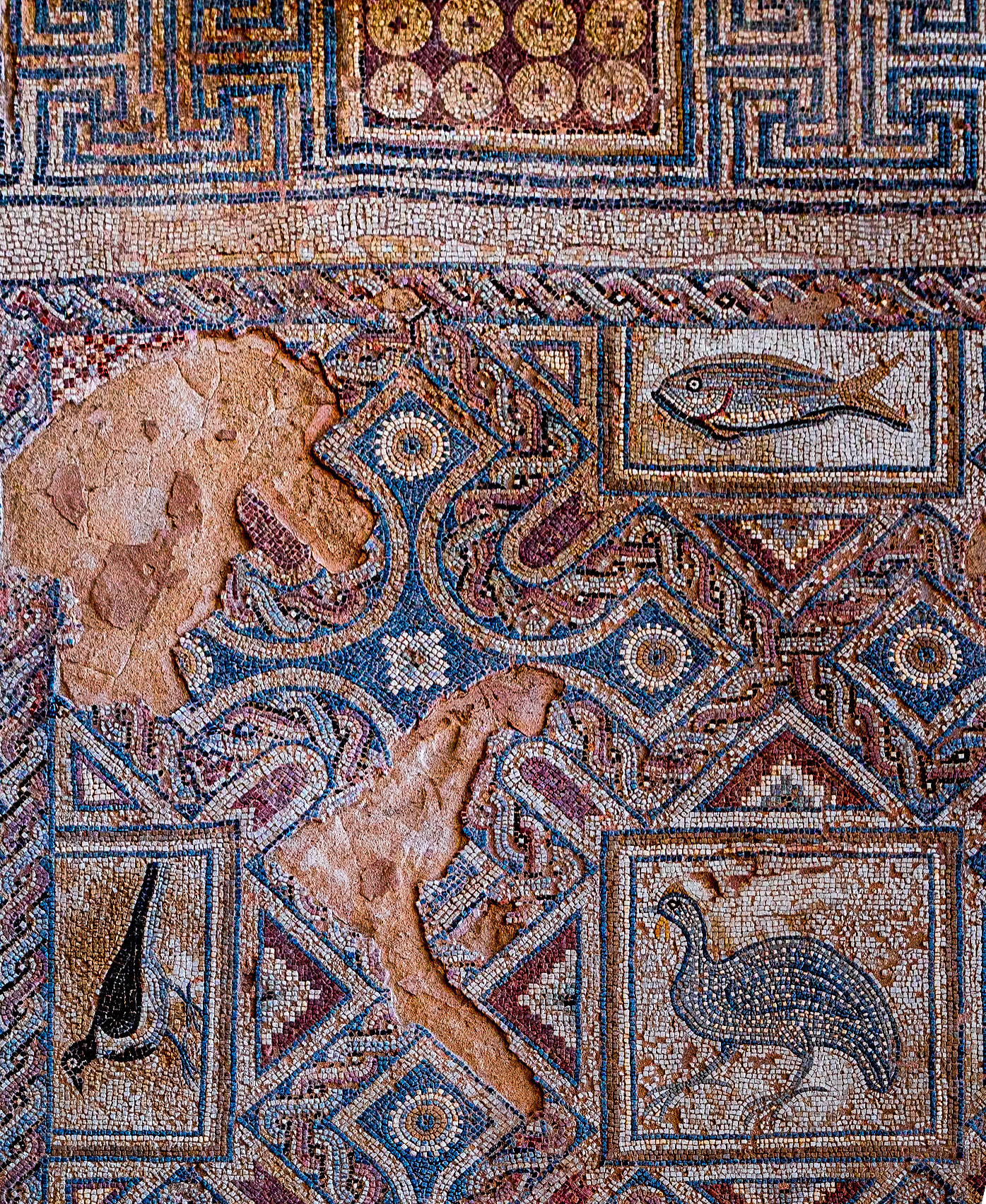 Floor mosaic, Kourion, Cyprus, 12 Feb 2025