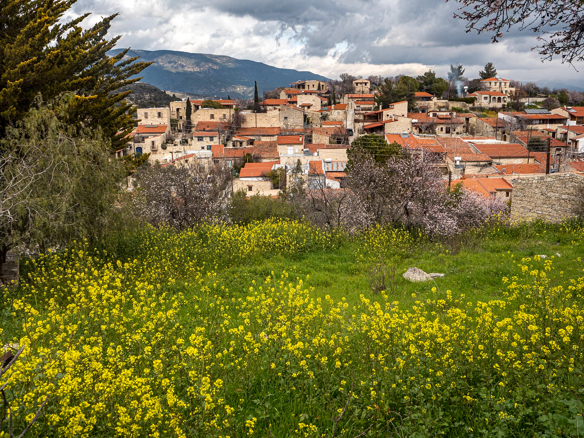 Lofou, Cyprus, 22 Feb 2025