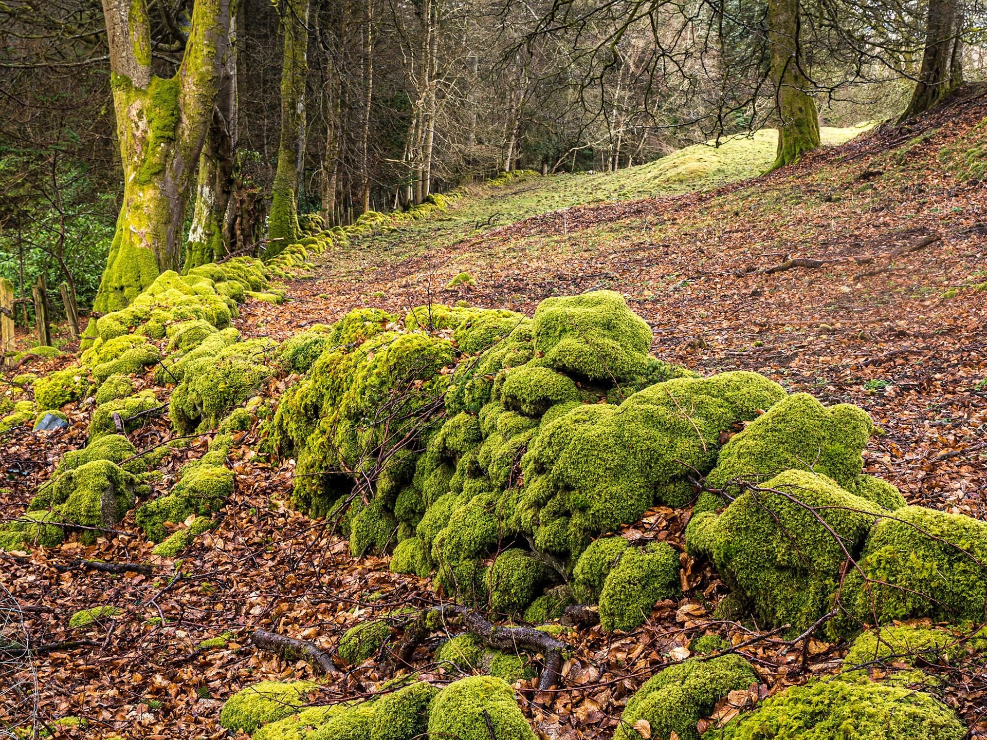 Massy's Estate, Co Dublin, 27 Mar 2016