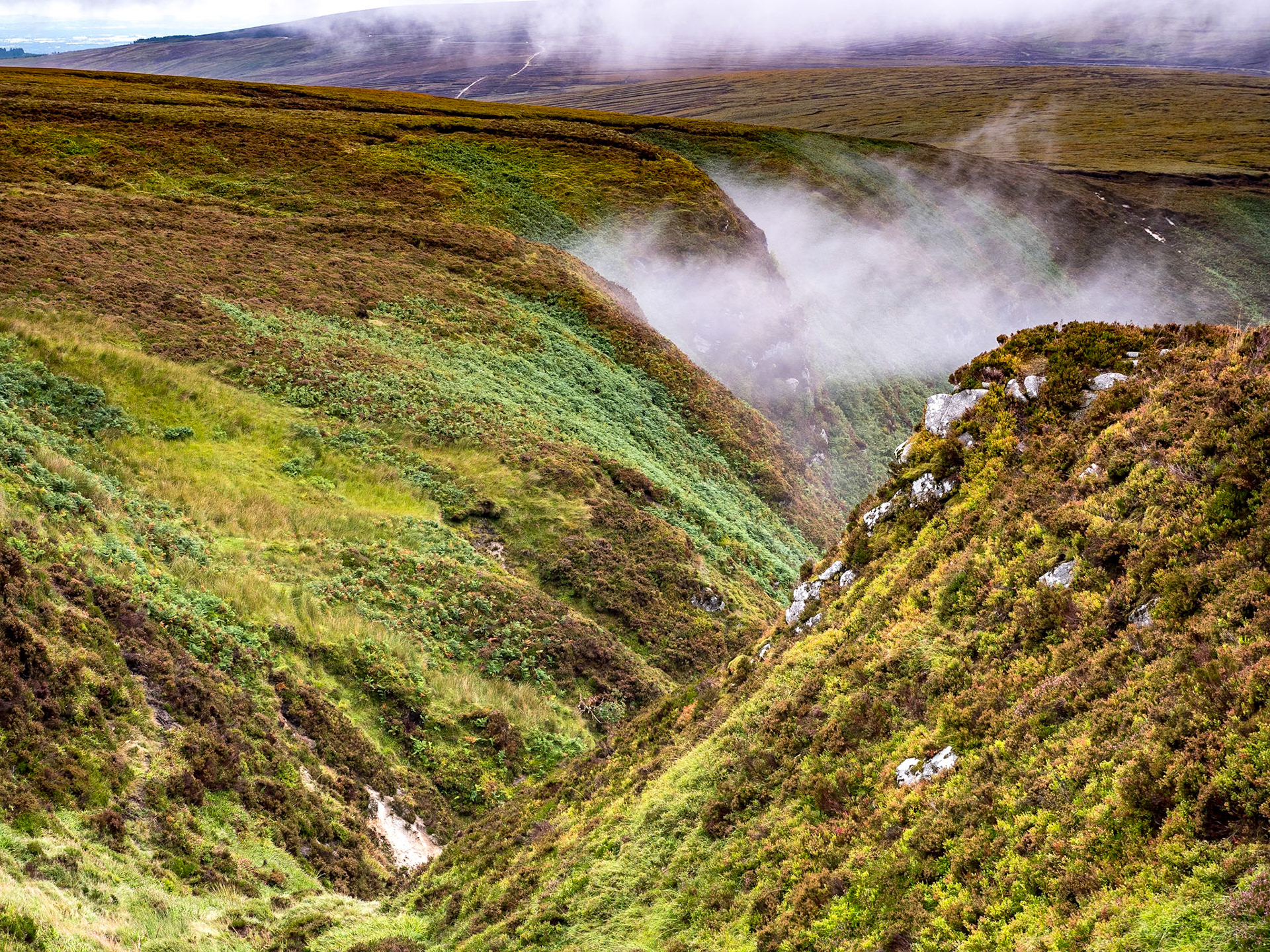 Walk around Lough Brays, Co Wicklow, 22 Aug 2018