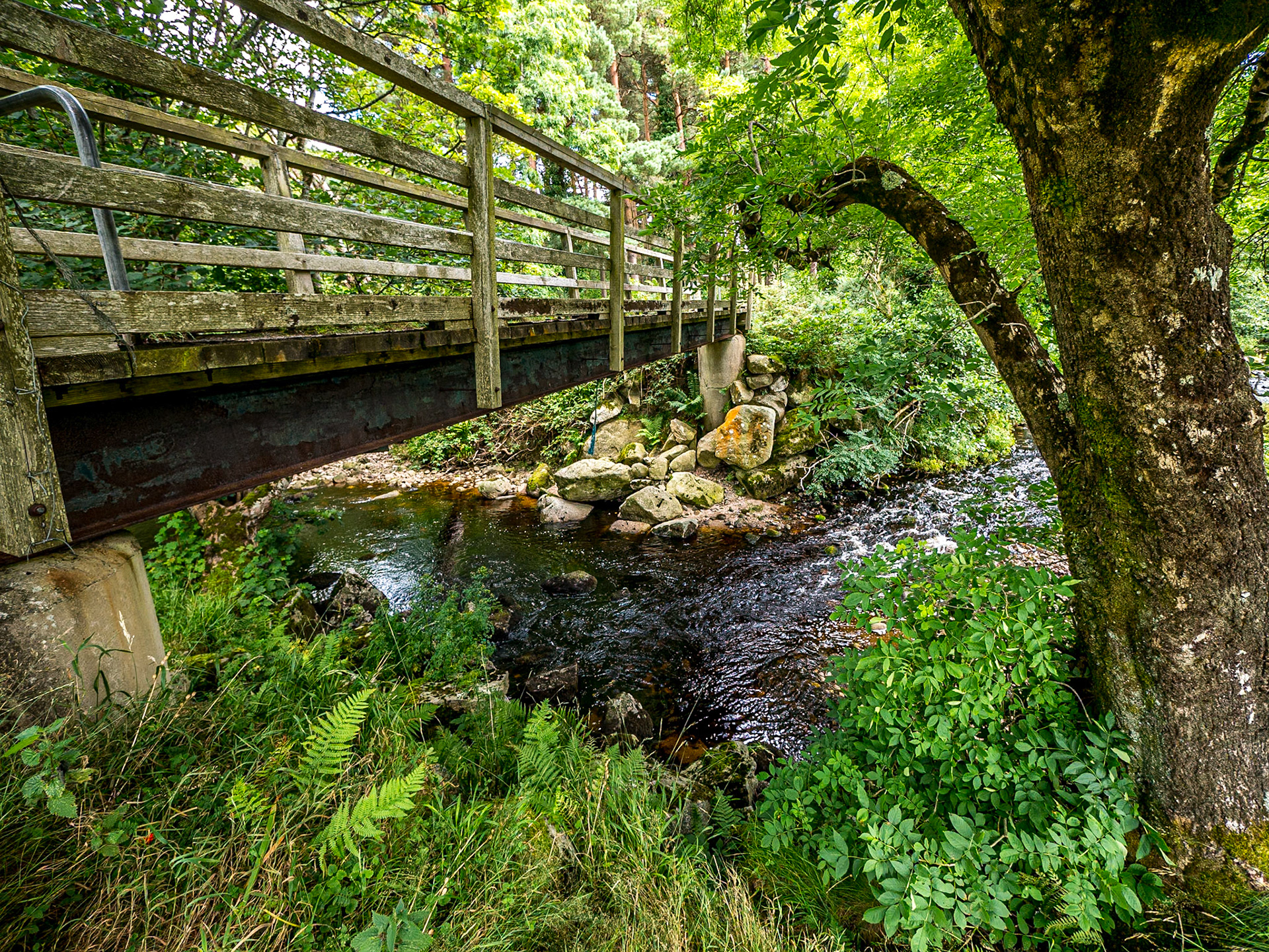 Glencree River, Co Wicklow, 2 Aug 2017