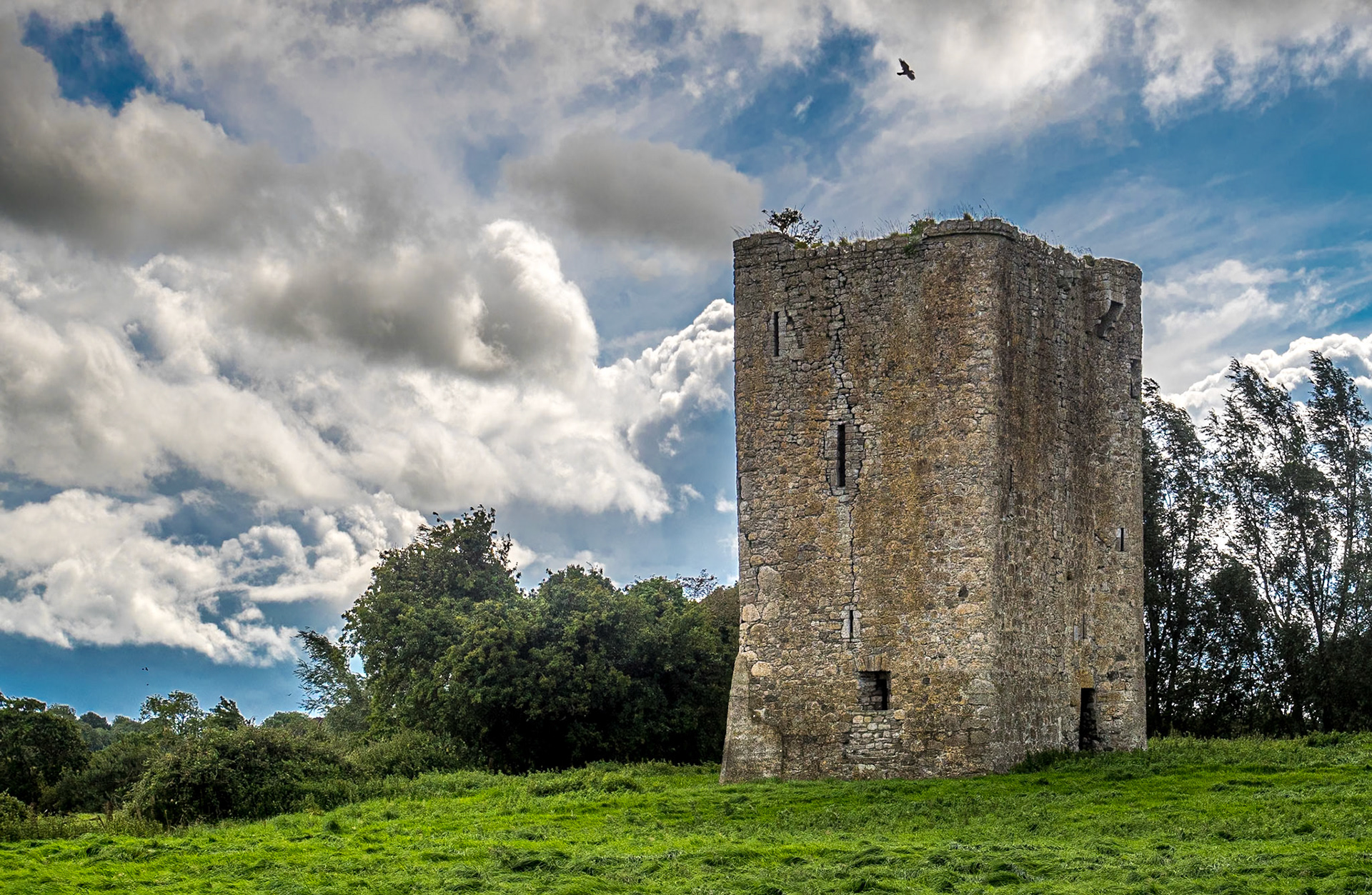 Donore Castle, Co Meath, 21 Aug 2020